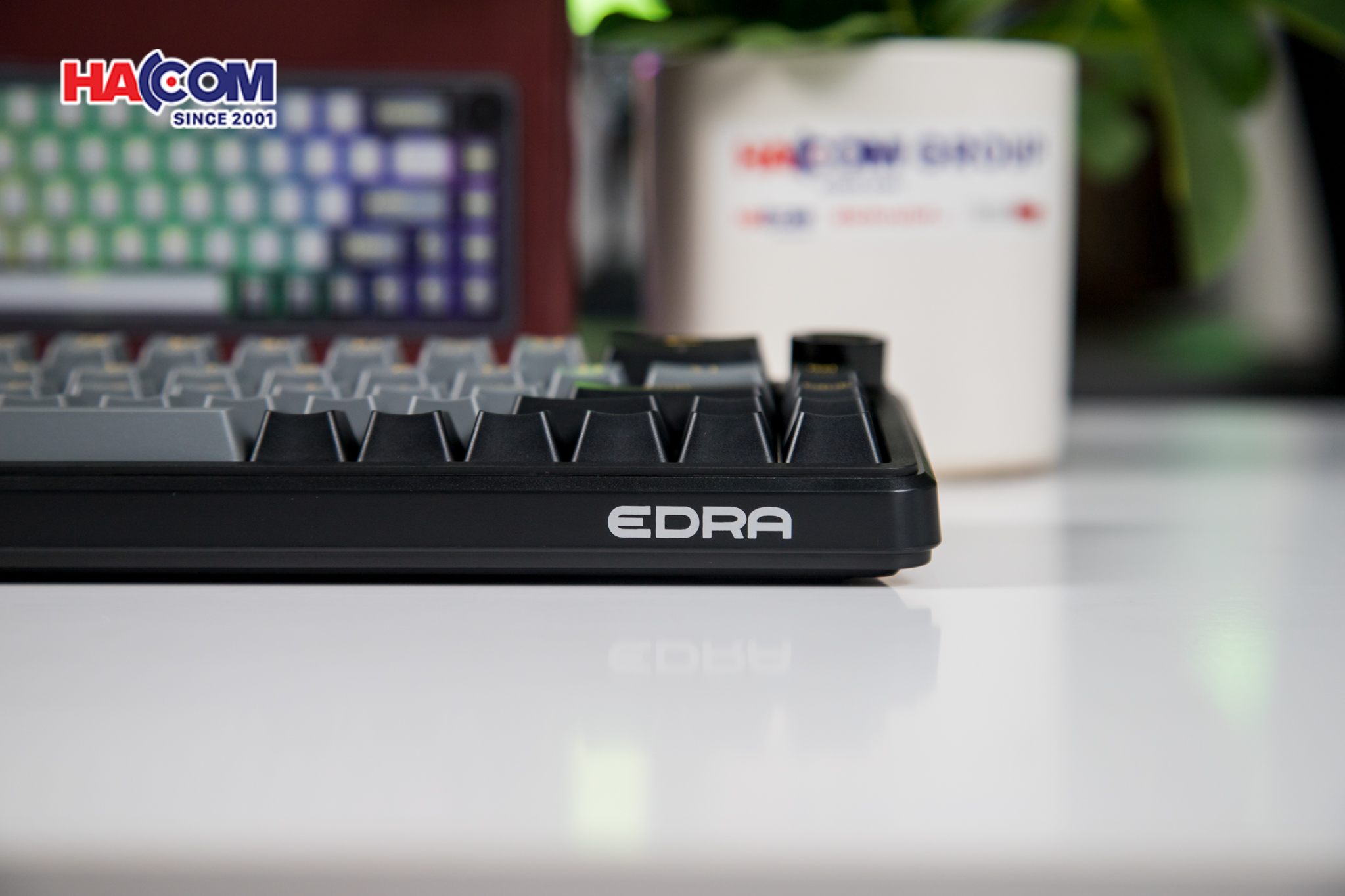 Bàn phím cơ EDRA EK368RT Triple Mode 7