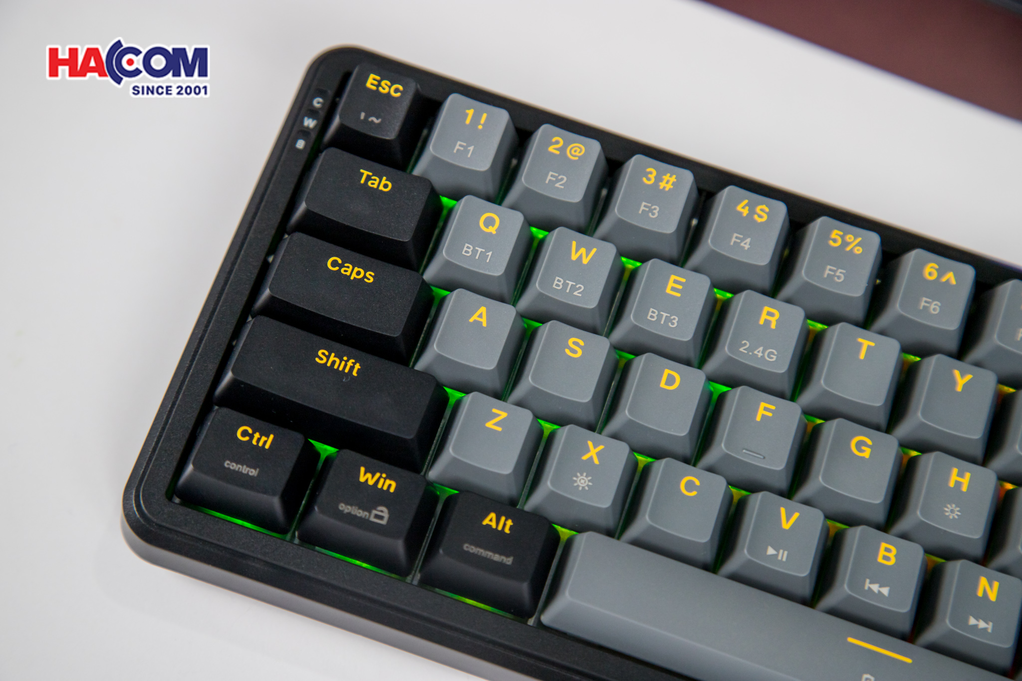 Bàn phím cơ EDRA EK368RT Triple Mode 8