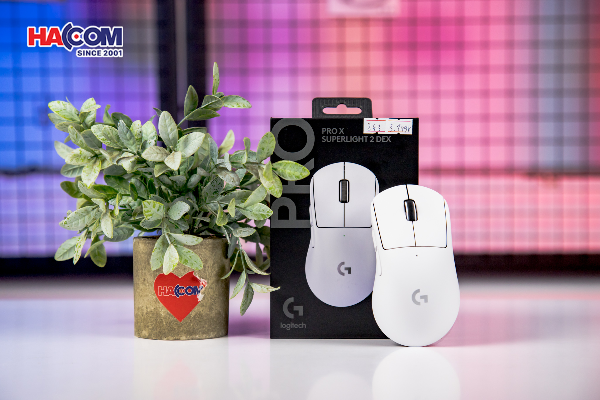 Chuột Gaming không dây Logitech Pro X SuperLight 2 DEX Lightspeed Trắng 8