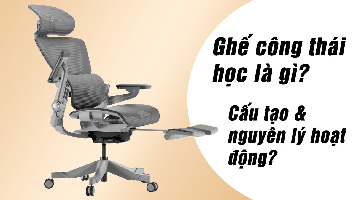 Ghế công thái học là gì? Lý do nào khiến ghế công thái học được ưa chuộng nhất hiện nay