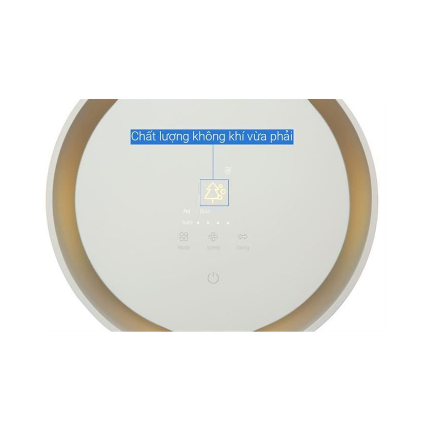 Máy lọc không khí LG PuriCare Aero Booster AS55GGSY0 10