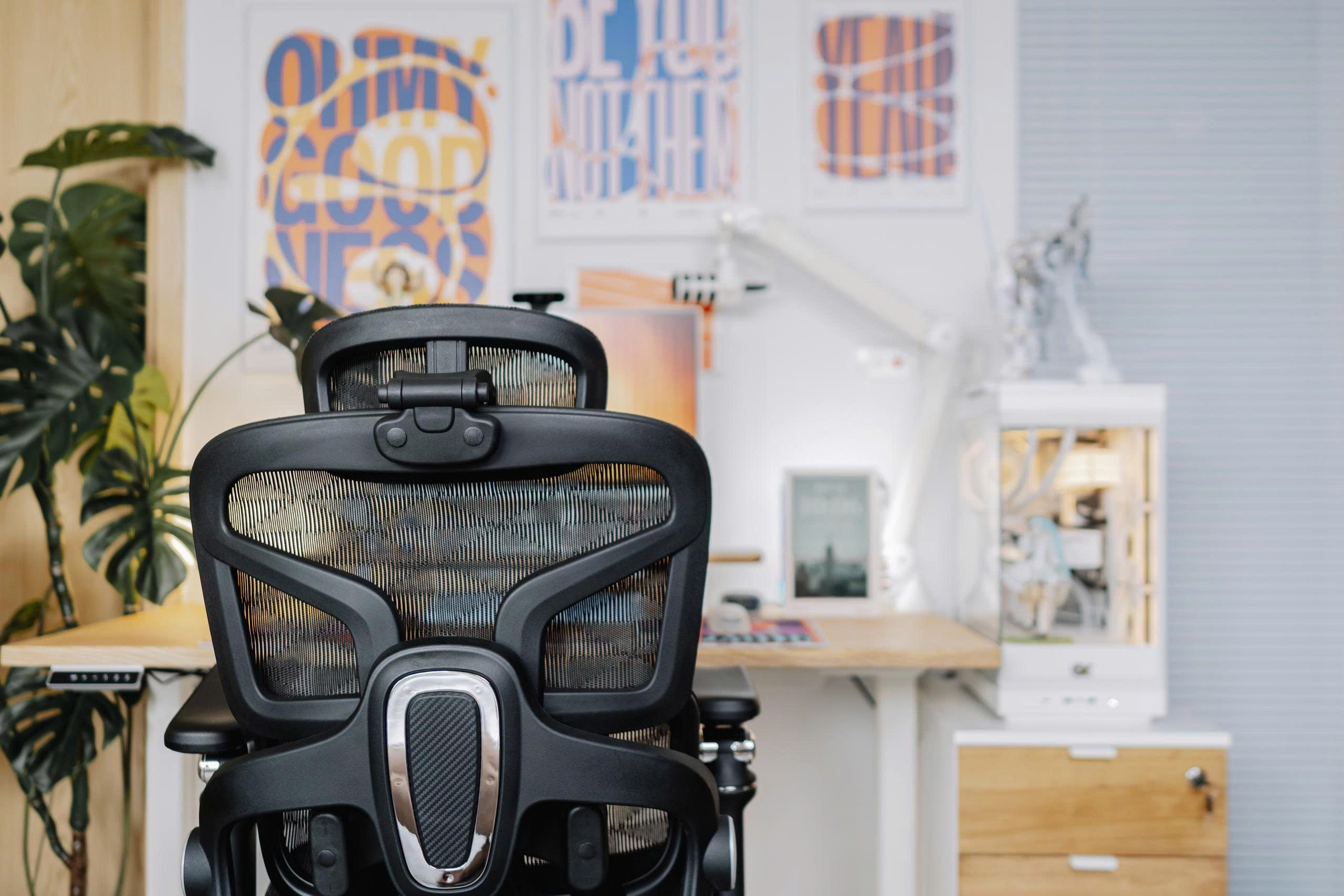 cdn/web/17122025/Ghe-cong-thai-hoc-EDRA-EEC227-29.jpg 29