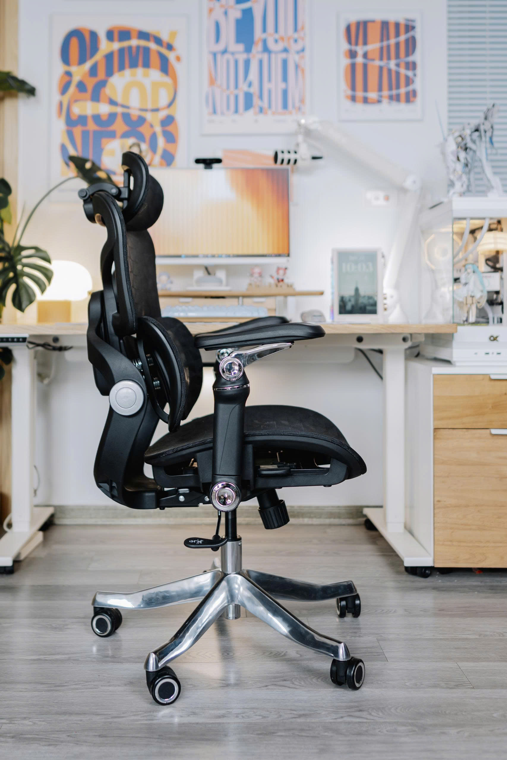 cdn/web/17122025/Ghe-cong-thai-hoc-EDRA-EEC227-35.jpg 35