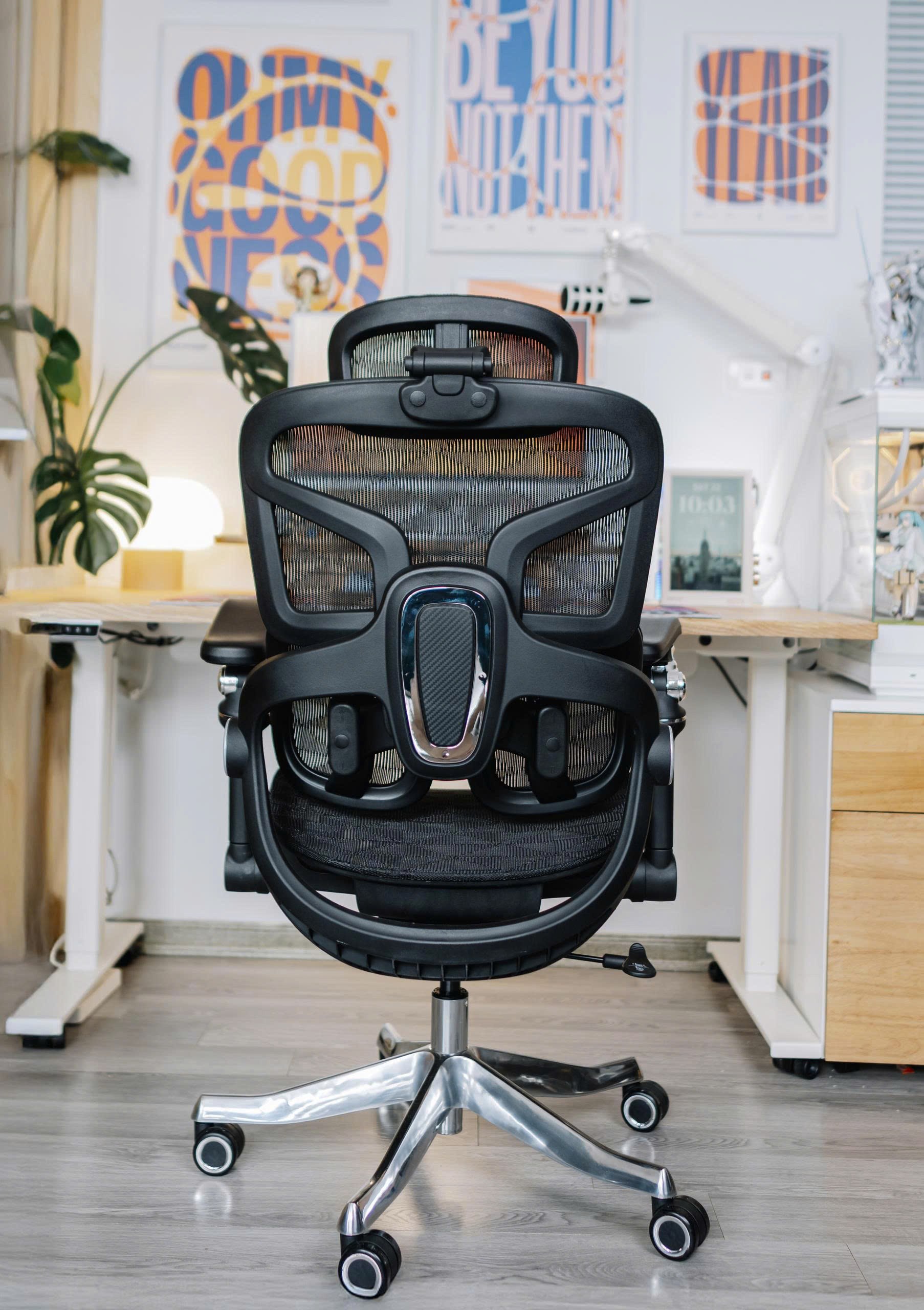 cdn/web/17122025/Ghe-cong-thai-hoc-EDRA-EEC227-37.jpg 37