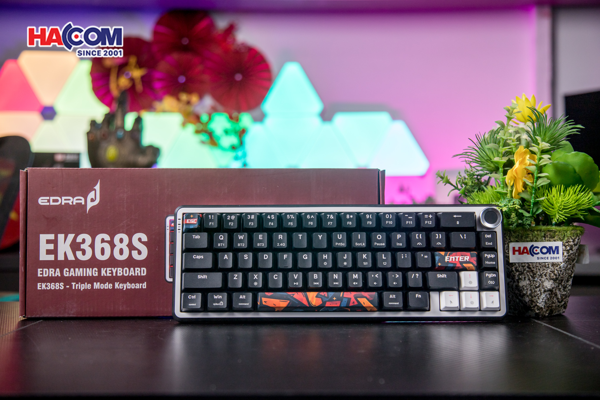 Bàn phím cơ EDRA EK368S (Triple Mode) - Hình 7