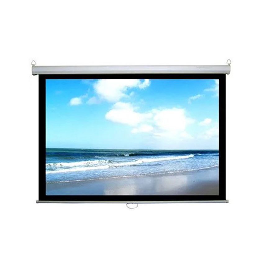 Màn chiếu treo tường Dalite PW150WS ( 3m05x2m29 ) - 150 inch