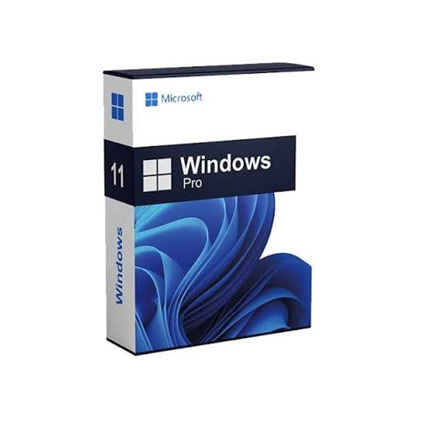 Hệ điều hành Windows 11 Pro FPP 64-bit Eng Intl USB (HAV-00163) - Hình 3