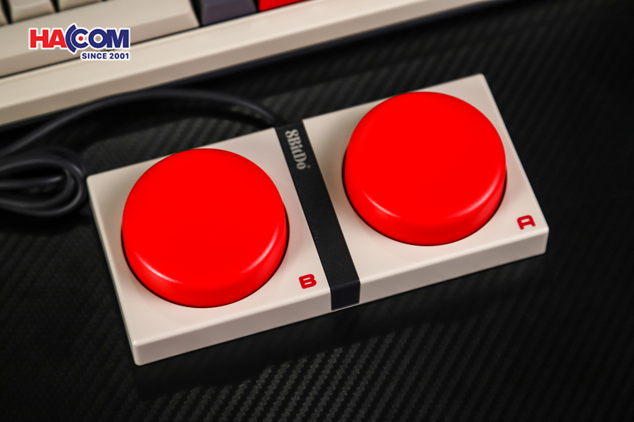 Bàn phím 8BitDo Retro 108 Mechanical Keyboard - N 22