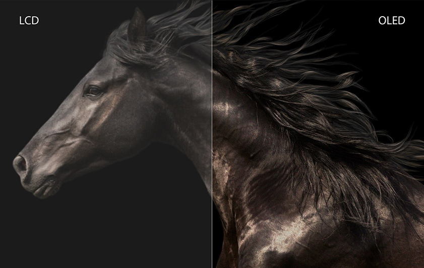 cam nang chon laptop oled ben dep phu hop moi nhu cau3