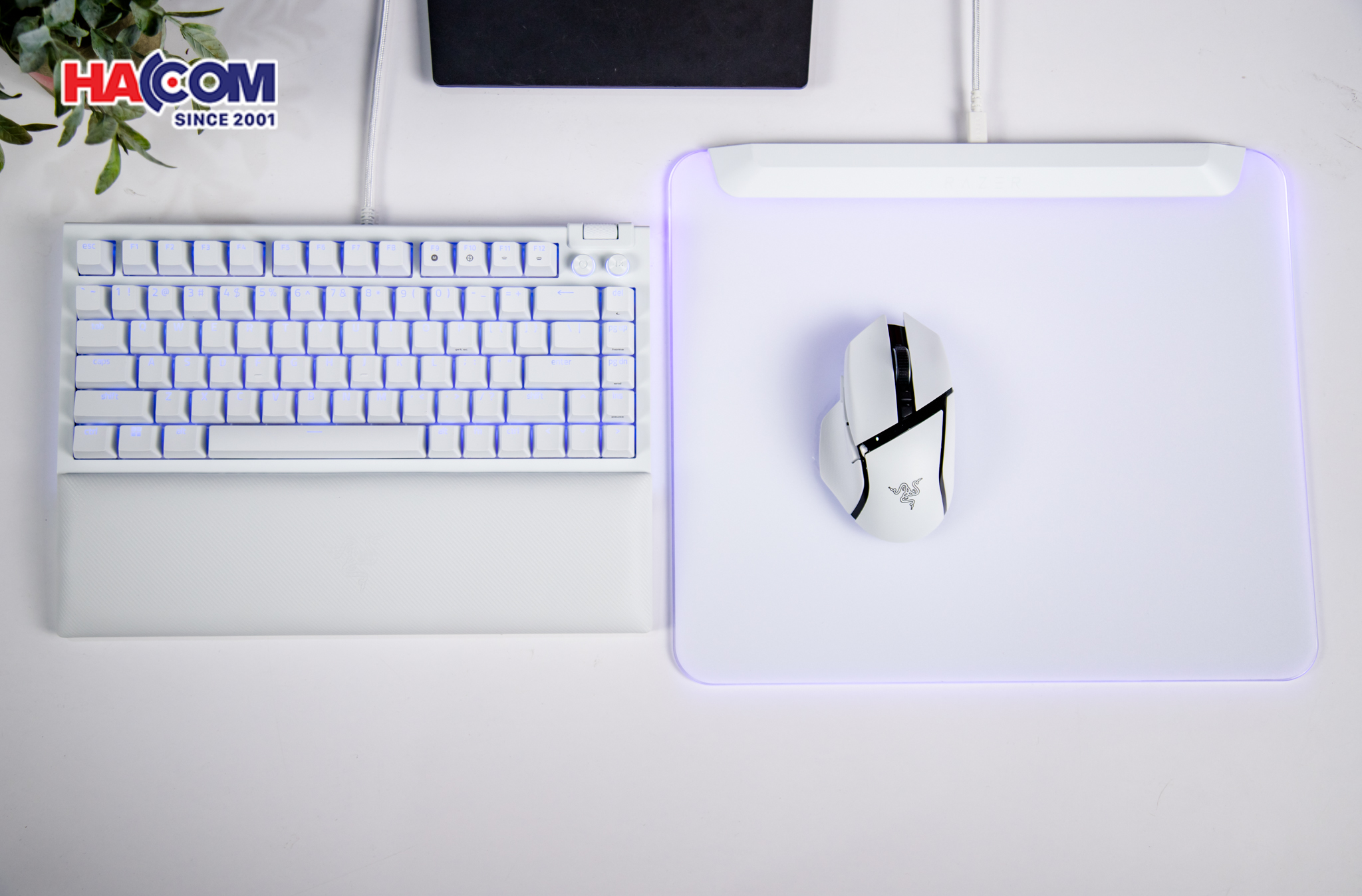 Bàn di chuột Razer Firefly V2 Pro – White (RZ02-04920200-R3M1)eb/21102025/ban-di-chuot-razer-firefly-v2-pro-white-rz02-04920200-r3m1-004.jpg 6