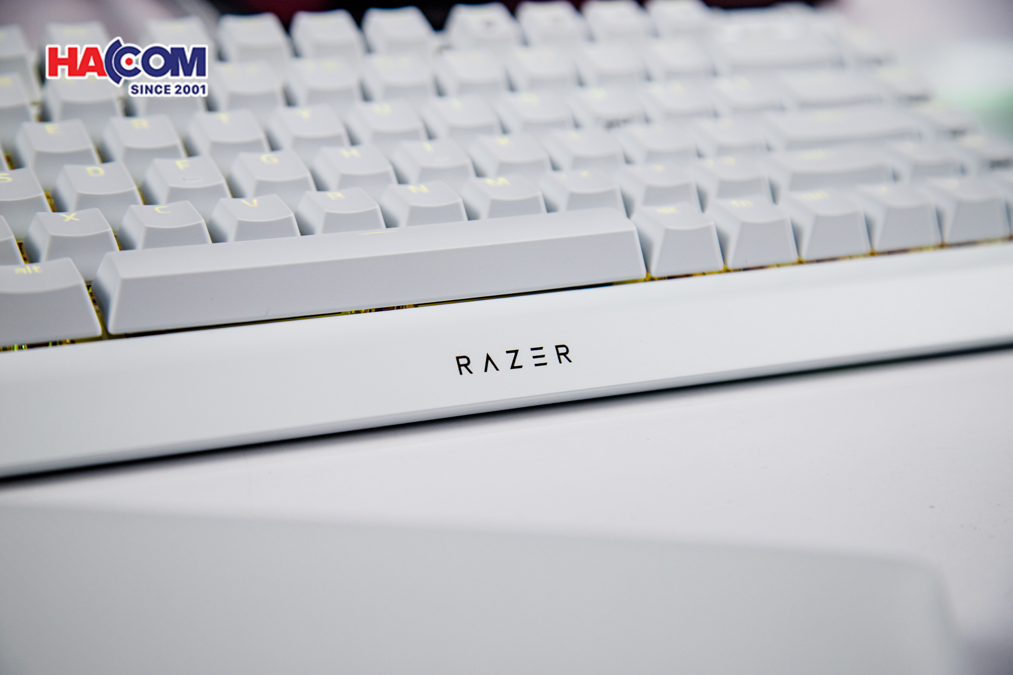 Bàn phím cơ có dây Razer BlackWidow V4 75% RGB White Edition Hotswap Razer Switch Orange RZ03-05001700-R3M1 16