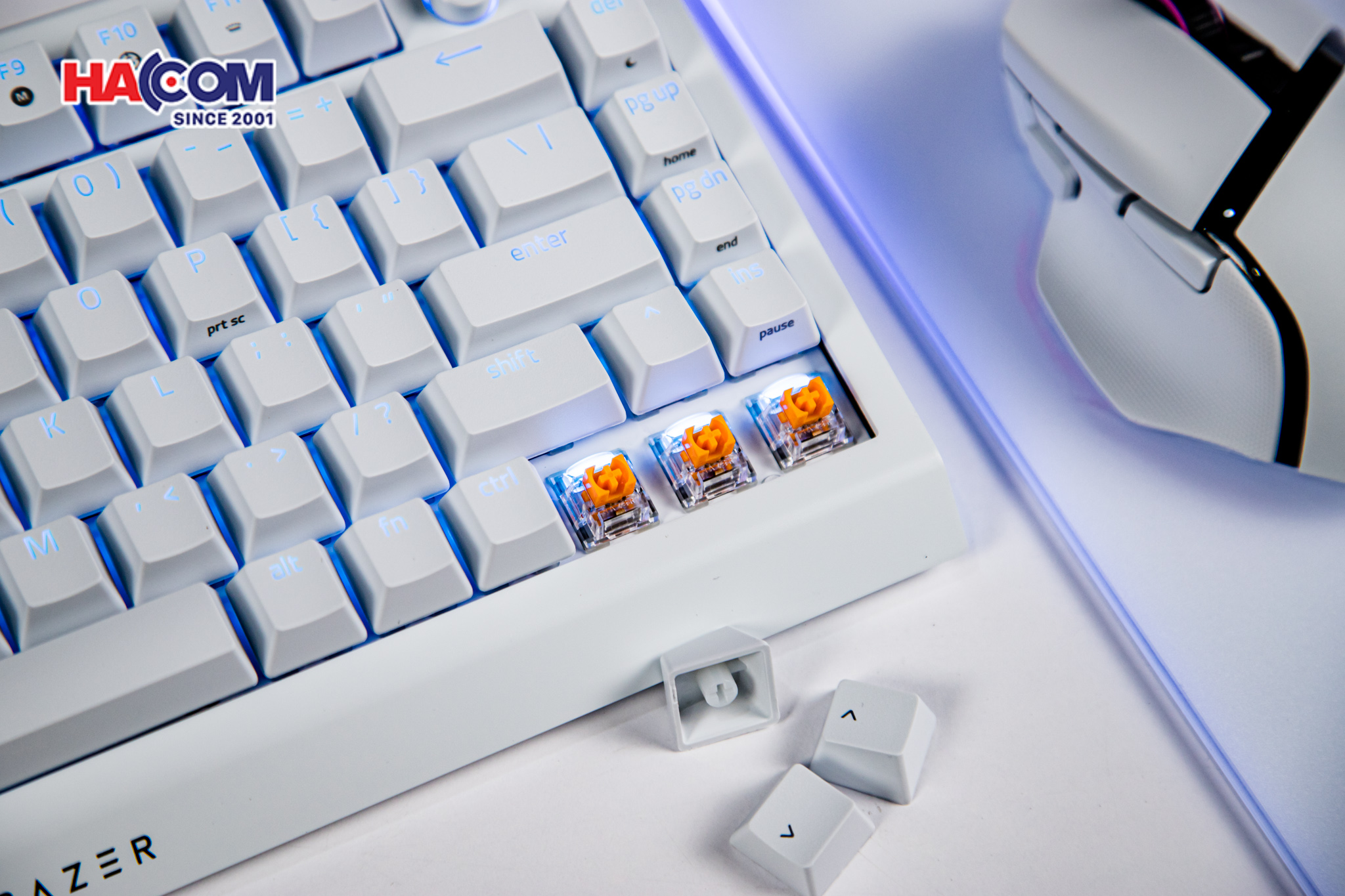 Bàn phím cơ có dây Razer BlackWidow V4 75% RGB White Edition Hotswap Razer Switch Orange RZ03-05001700-R3M1 17