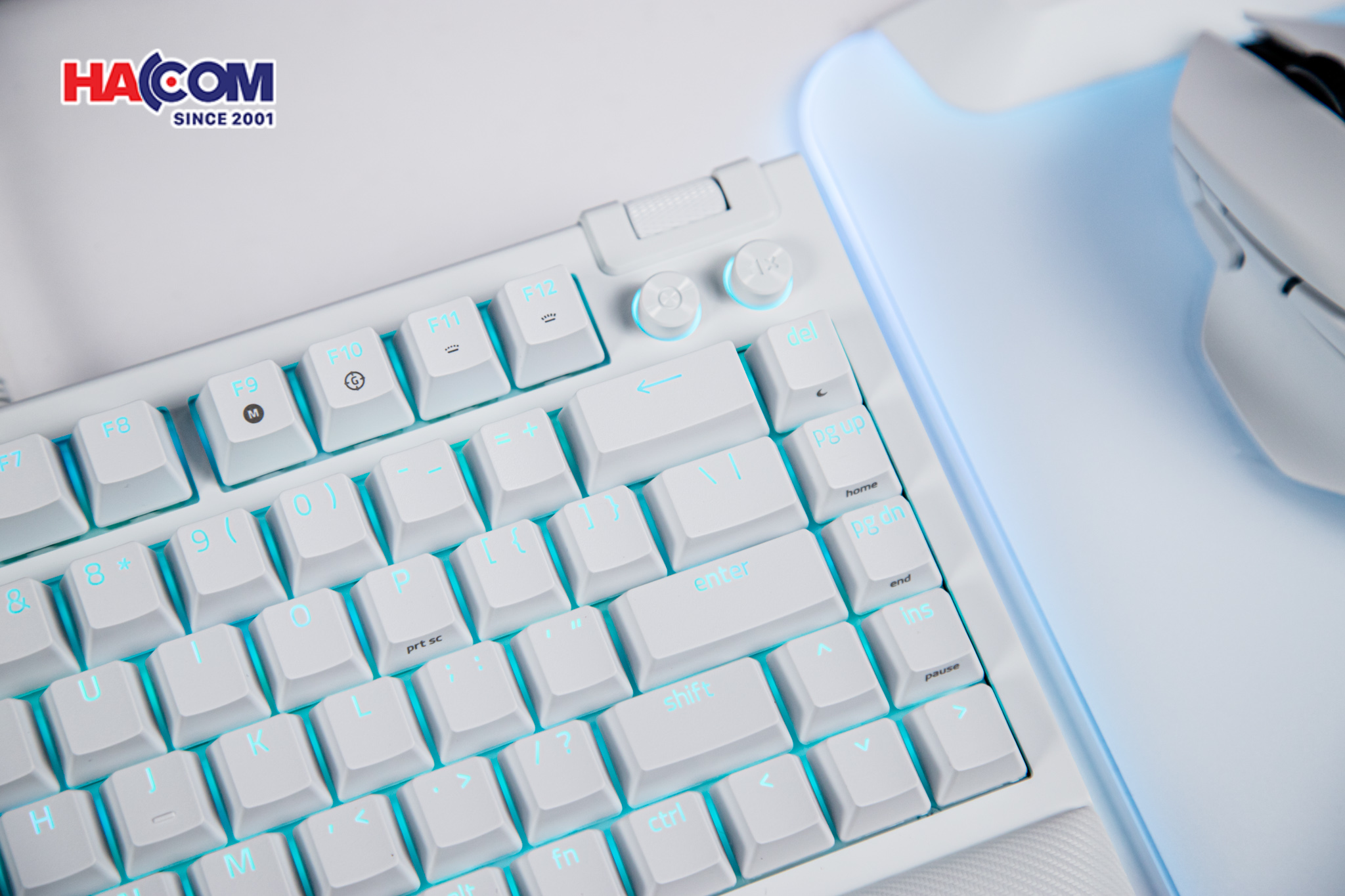 Bàn phím cơ có dây Razer BlackWidow V4 75% RGB White Edition Hotswap Razer Switch Orange RZ03-05001700-R3M1 18