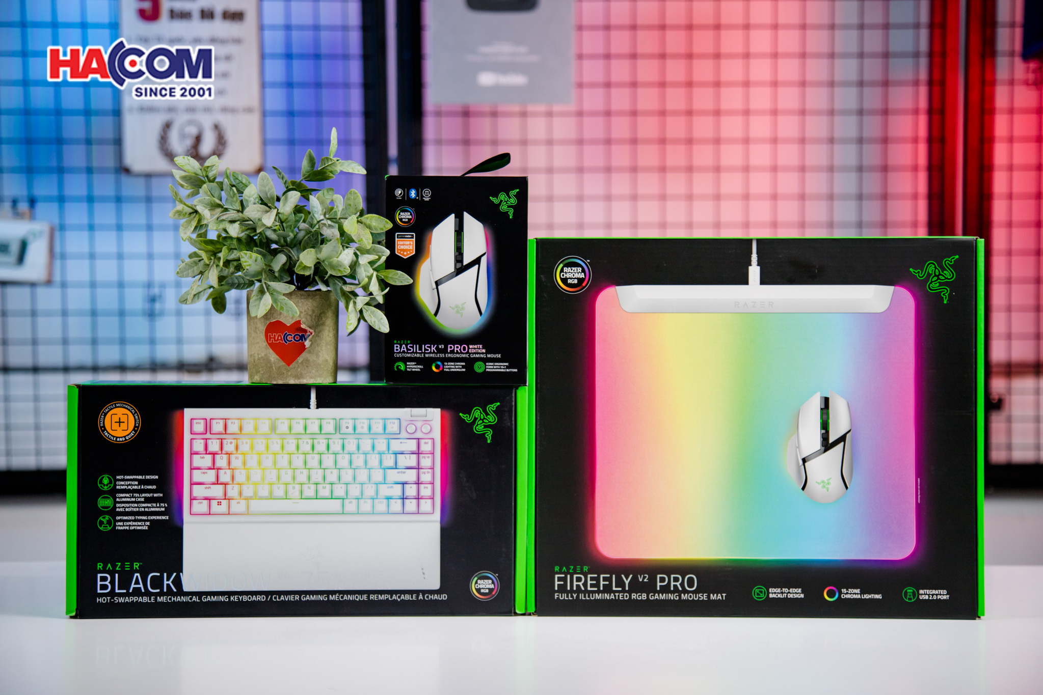 Bàn phím cơ có dây Razer BlackWidow V4 75% RGB White Edition Hotswap Razer Switch Orange RZ03-05001700-R3M1 7