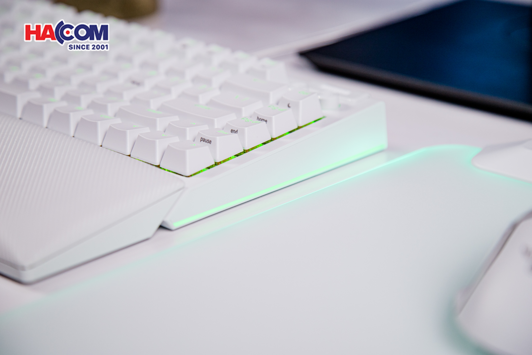 Bàn phím cơ có dây Razer BlackWidow V4 75% RGB White Edition Hotswap Razer Switch Orange RZ03-05001700-R3M1 12