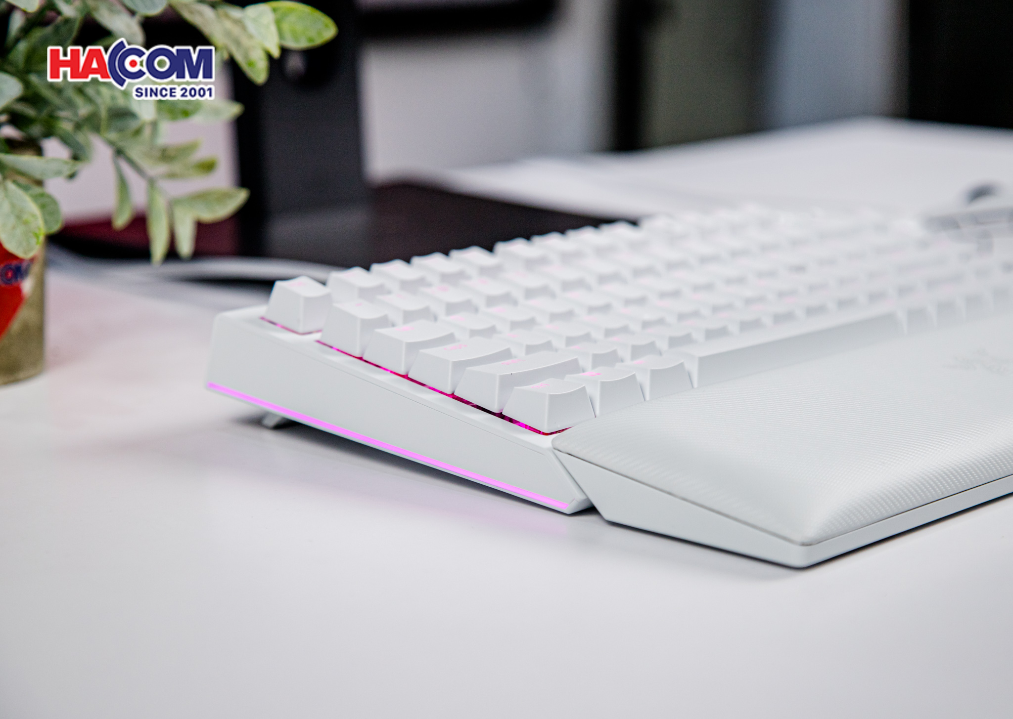 Bàn phím cơ có dây Razer BlackWidow V4 75% RGB White Edition Hotswap Razer Switch Orange RZ03-05001700-R3M1 14