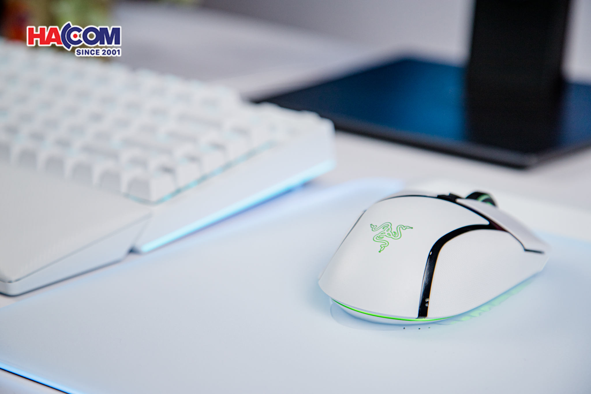 Chuột gaming không dây Razer Basilisk V3 Pro White Edition (USB Wireless, RGB) RZ01-04620200-R3A1 16