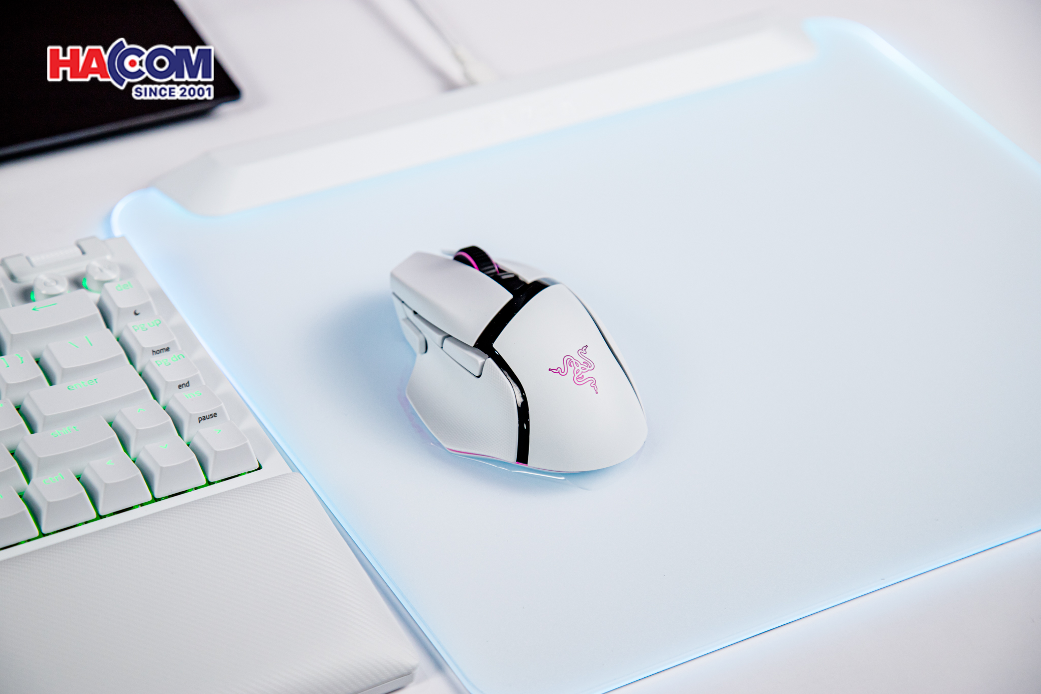 Chuột gaming không dây Razer Basilisk V3 Pro White Edition (USB Wireless, RGB) RZ01-04620200-R3A1 12