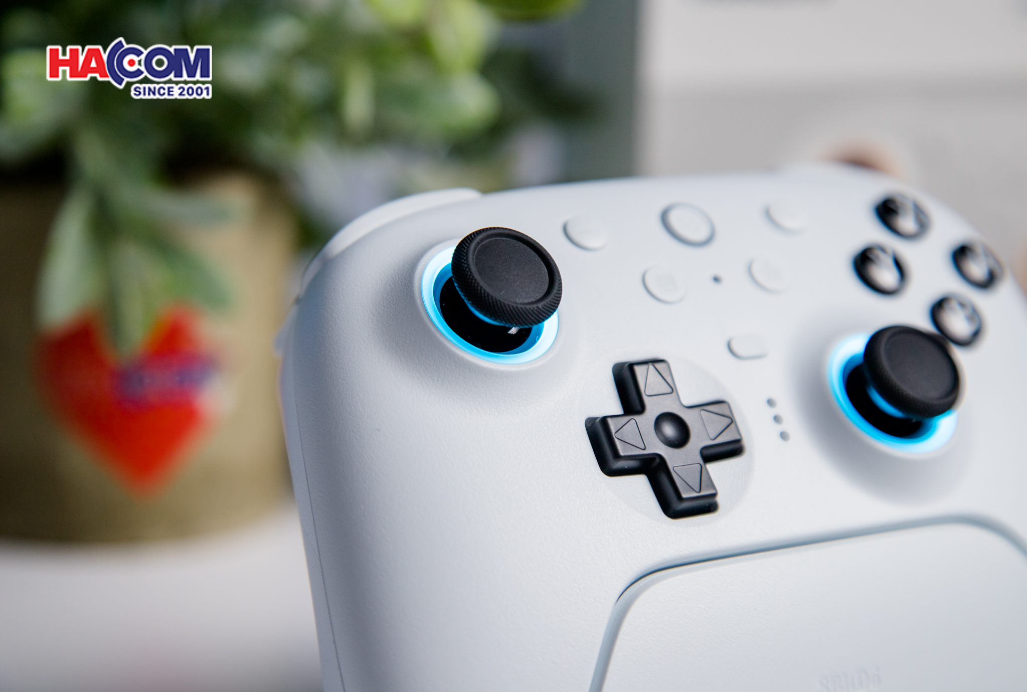 Tay cầm chơi game 8BitDo Ultimate 2 Bluetooth Controller - Whiten/web/21102025/tay-cam-choi-game-8bitdo-ultimate-2-bluetooth-controller-white-0010.jpg 13