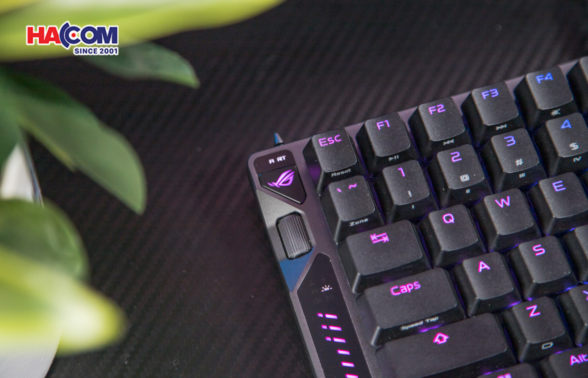 Bàn phím cơ không dây ASUS ROG Falcata HFX (ROG HFX V2 Switch) 20