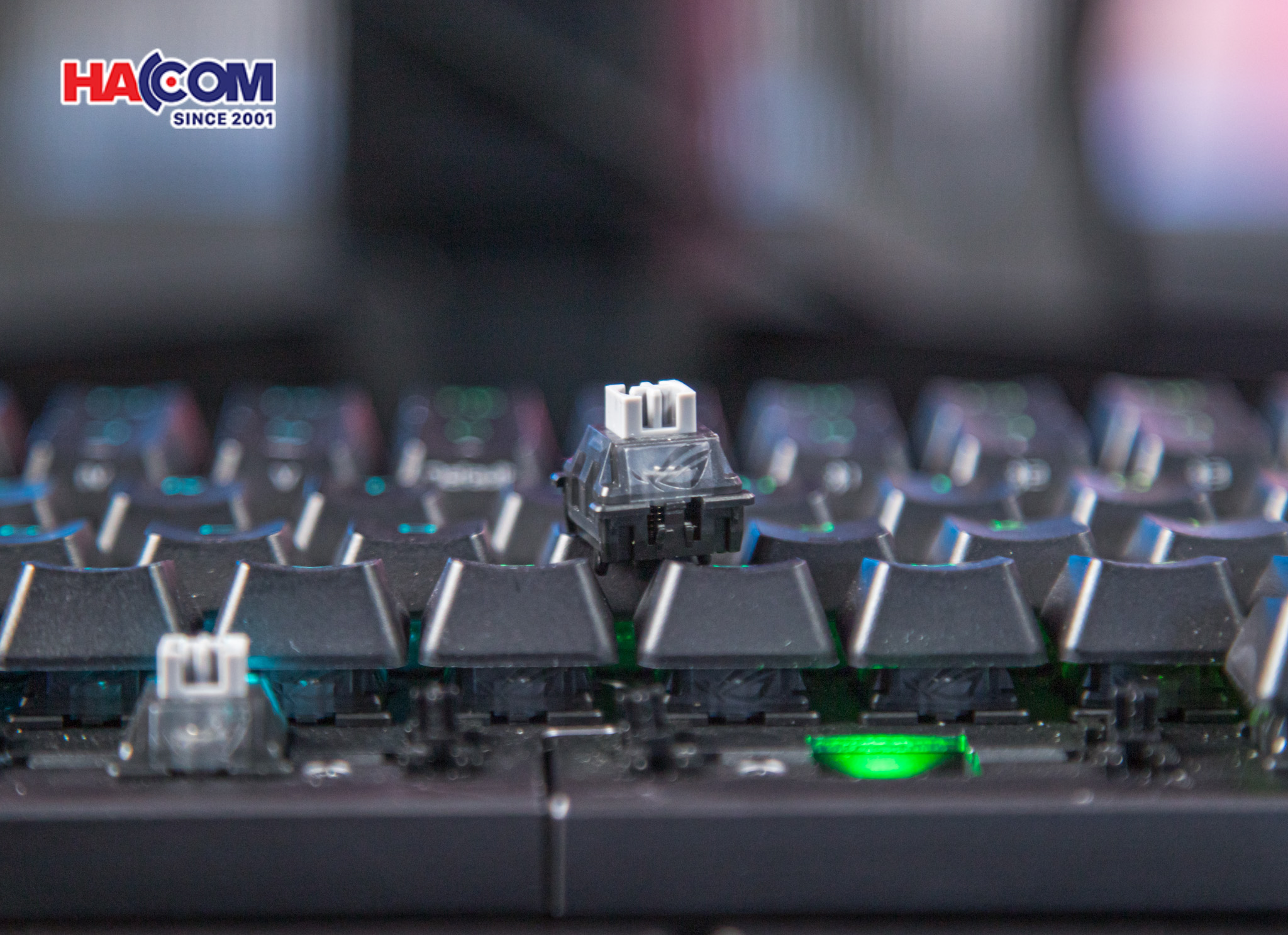 Bàn phím cơ không dây ASUS ROG Falcata HFX (ROG HFX V2 Switch) 33