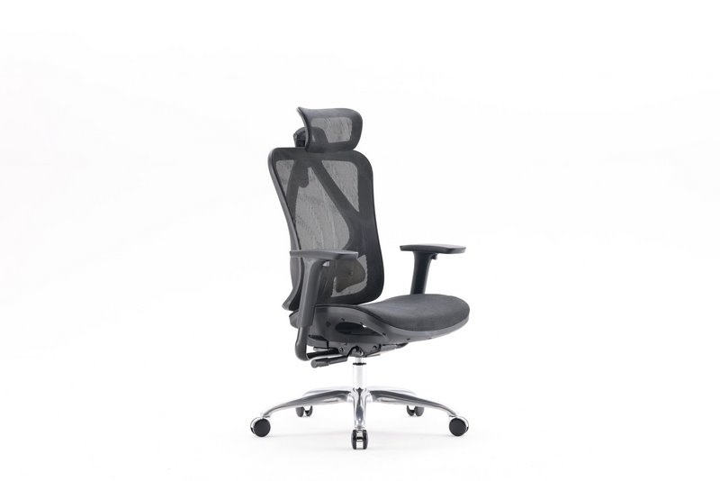 Ghế Công Thái Học SIHOO M18C-N101 Black - Hình 2