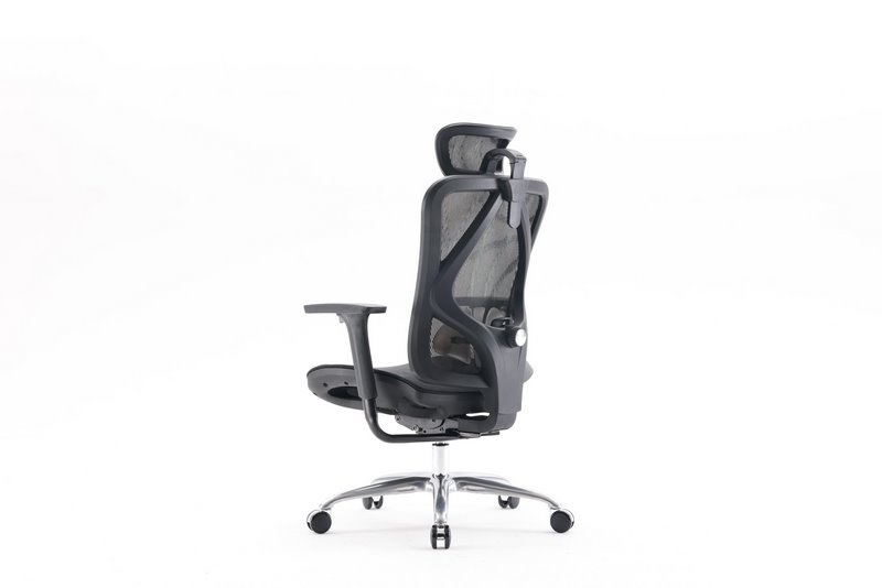Ghế Công Thái Học SIHOO M18C-N101 Black - Hình 3