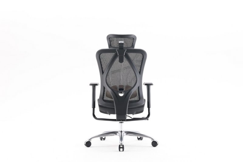 Ghế Công Thái Học SIHOO M18C-N101 Black - Hình 4