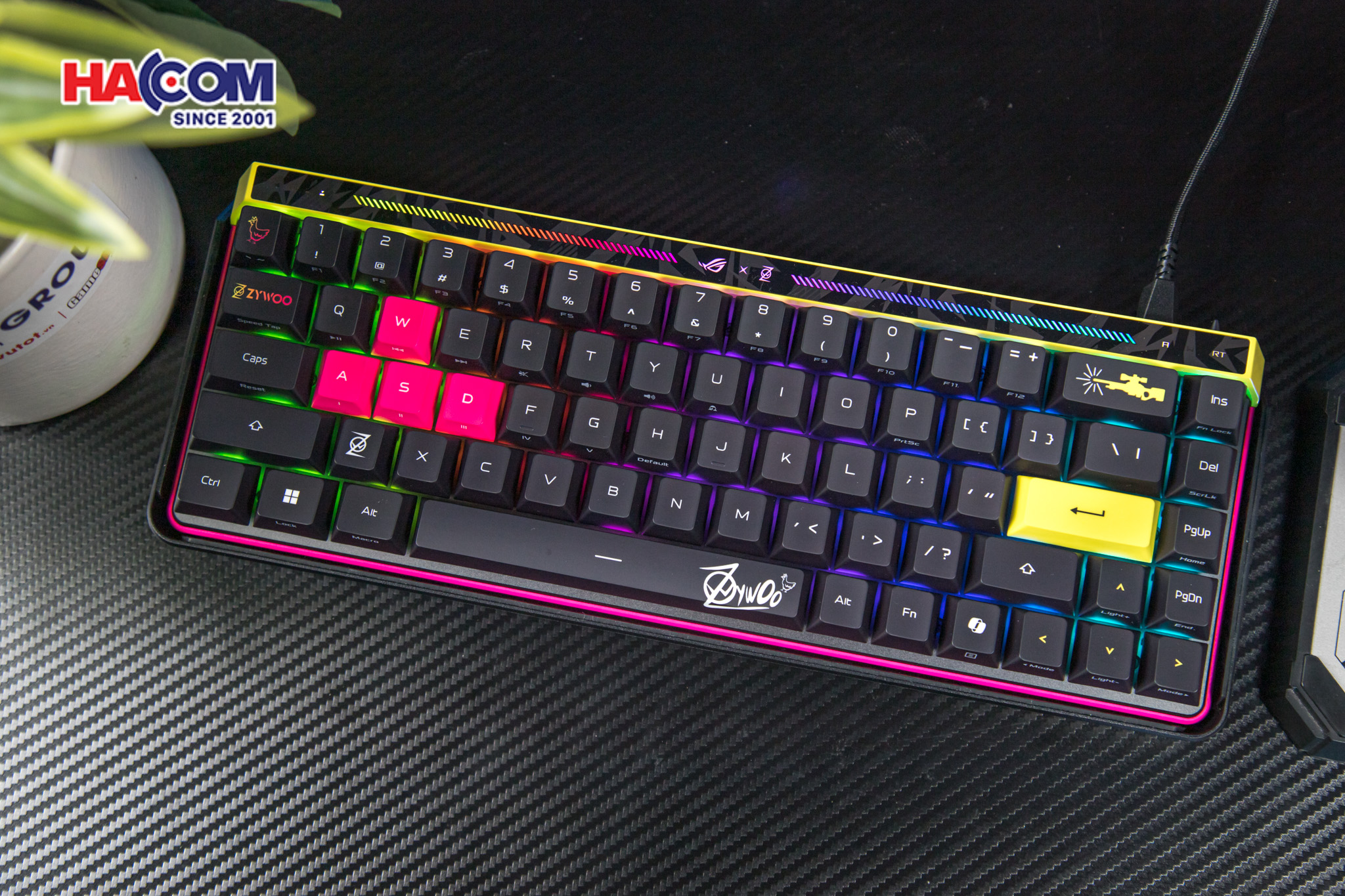 Bàn phím Asus ROG Falchion Ace HFX ZywOo Edition 14