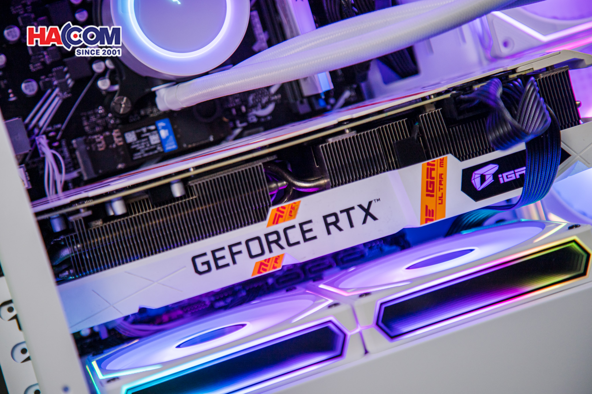 cdn/web/23022026/IMG_2858.jpg 8