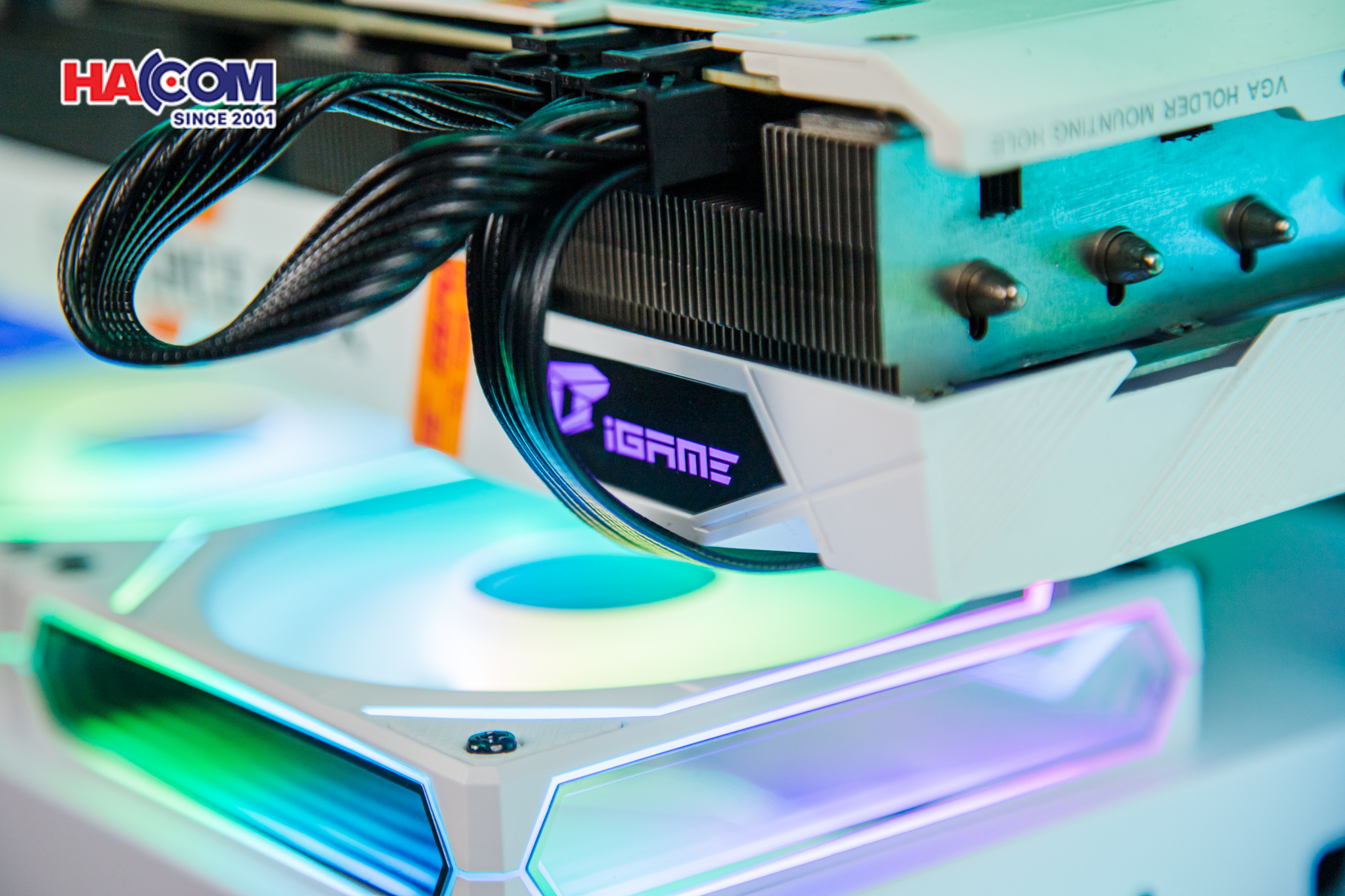 cdn/web/23022026/IMG_2859.jpg 9