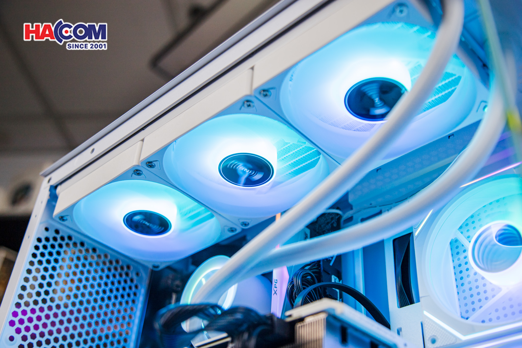 cdn/web/23022026/IMG_2860.jpg 10