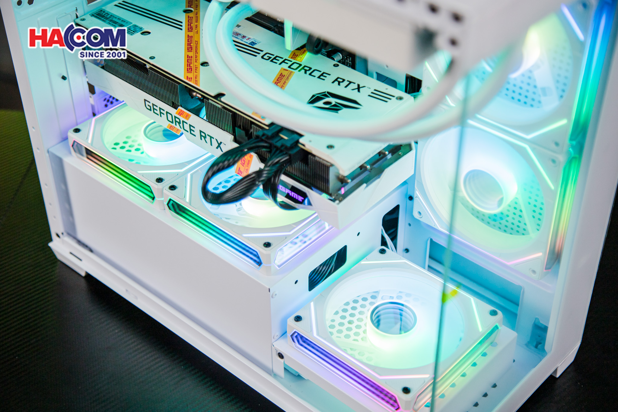 cdn/web/23022026/IMG_2861.jpg 11