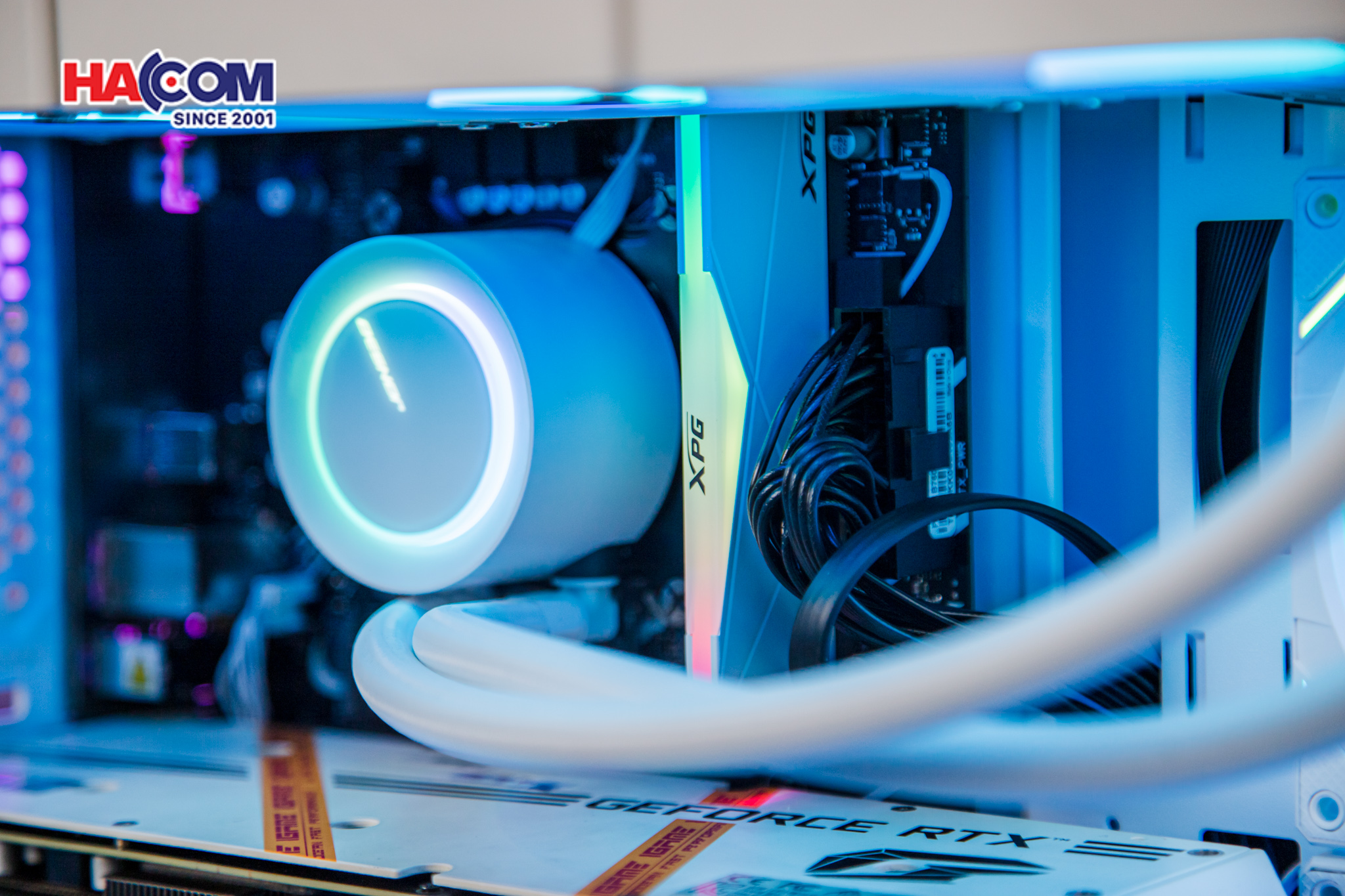 cdn/web/23022026/IMG_2862.jpg 12