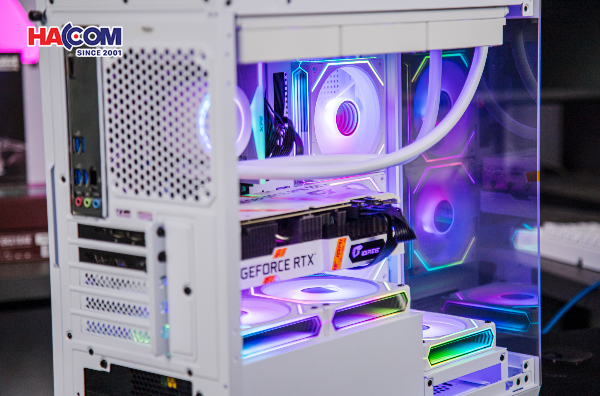 cdn/web/23022026/IMG_2864.jpg 14