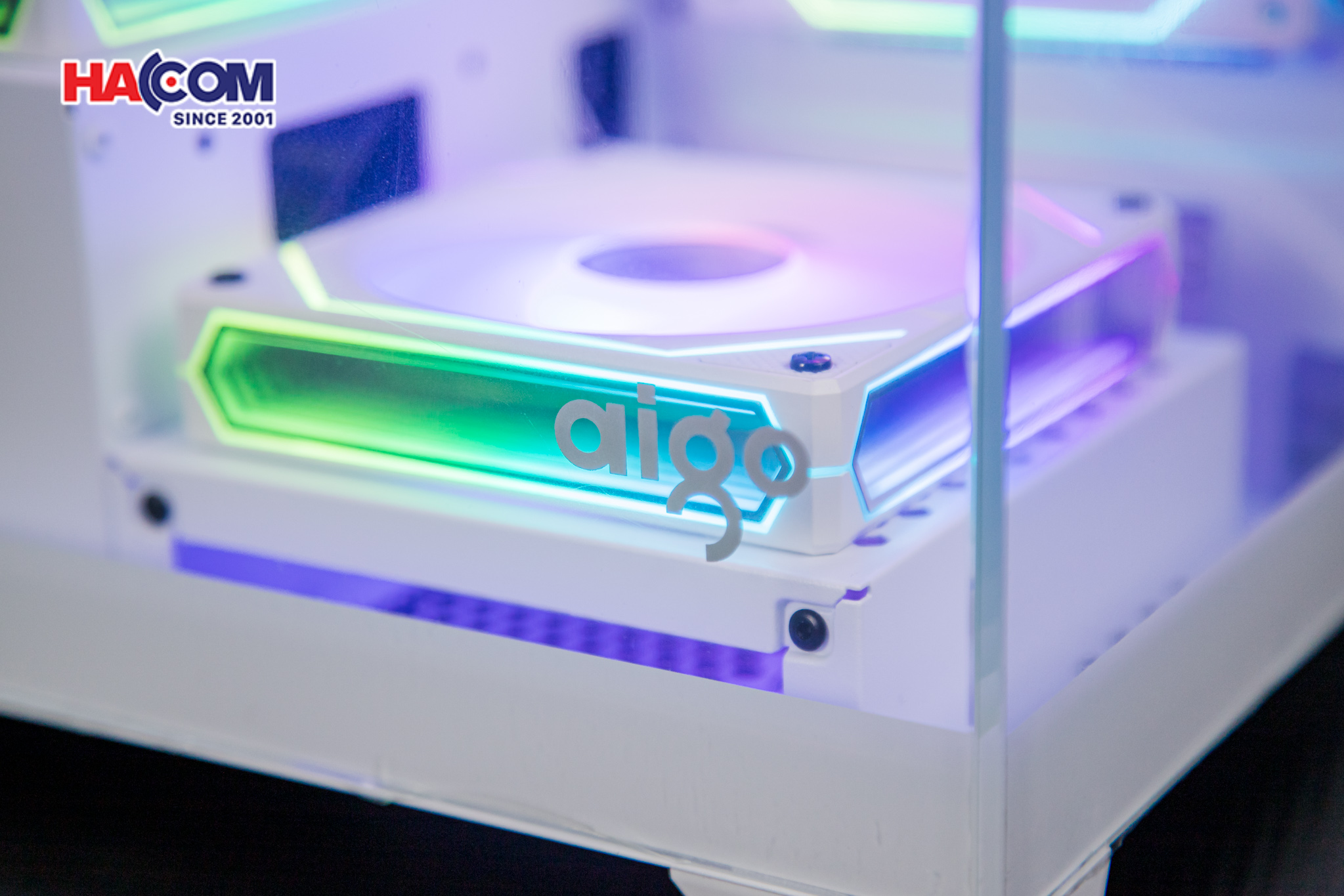 cdn/web/23022026/IMG_2865.jpg 15