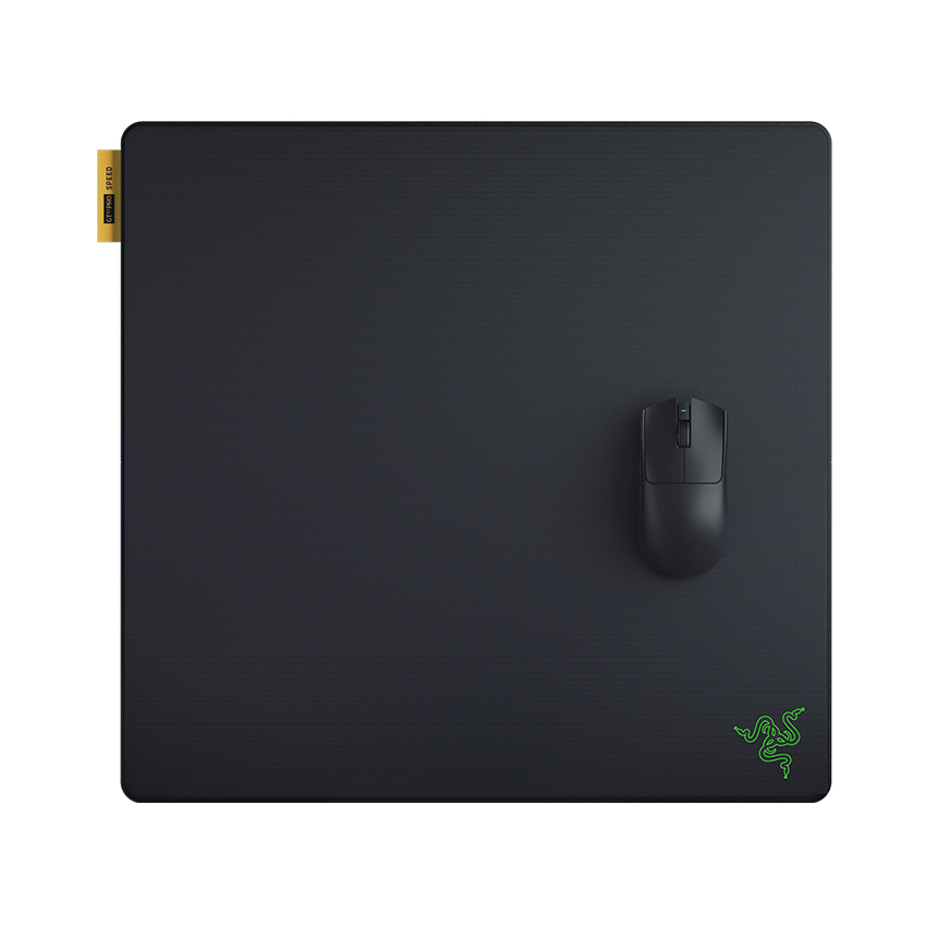 Bàn di chuột Razer Gigantus V2 Pro - Soft Gaming Mouse Mat - Large - Speed (RZ02-05490900-R3M1)