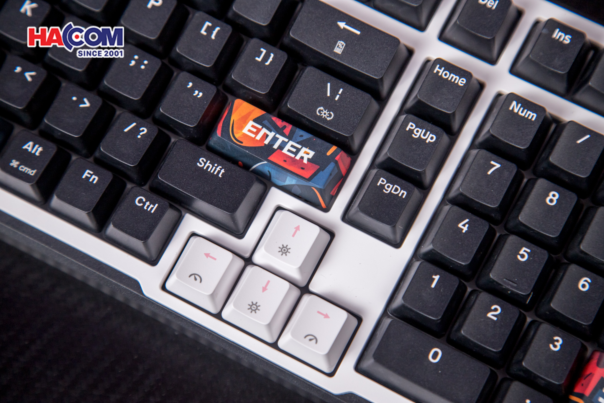 Bàn phím cơ EDRA EK398S (Triple Mode) 13