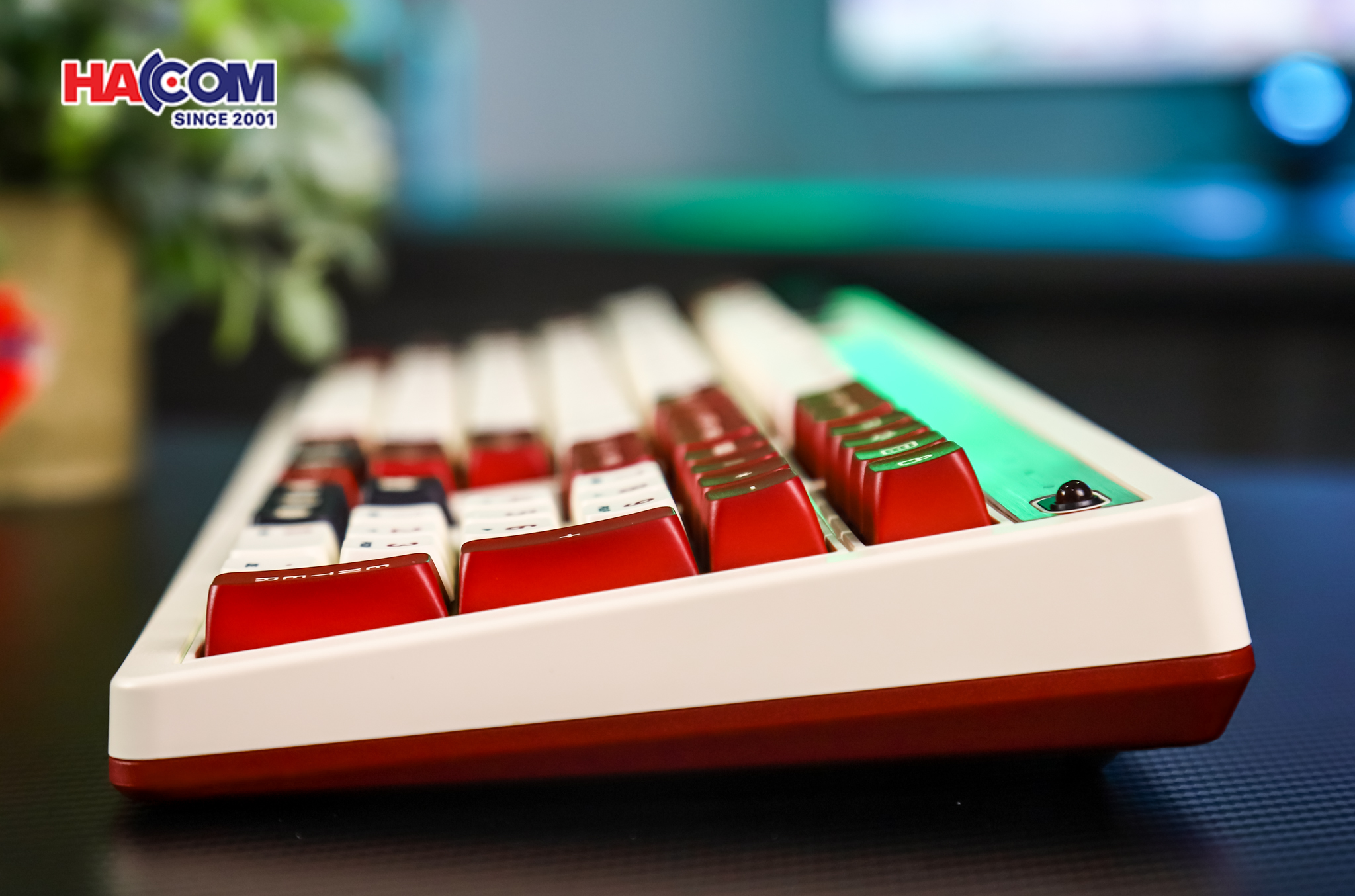 Bàn phím 8BitDo Retro 108 Mechanical Keyboard - Fami 17