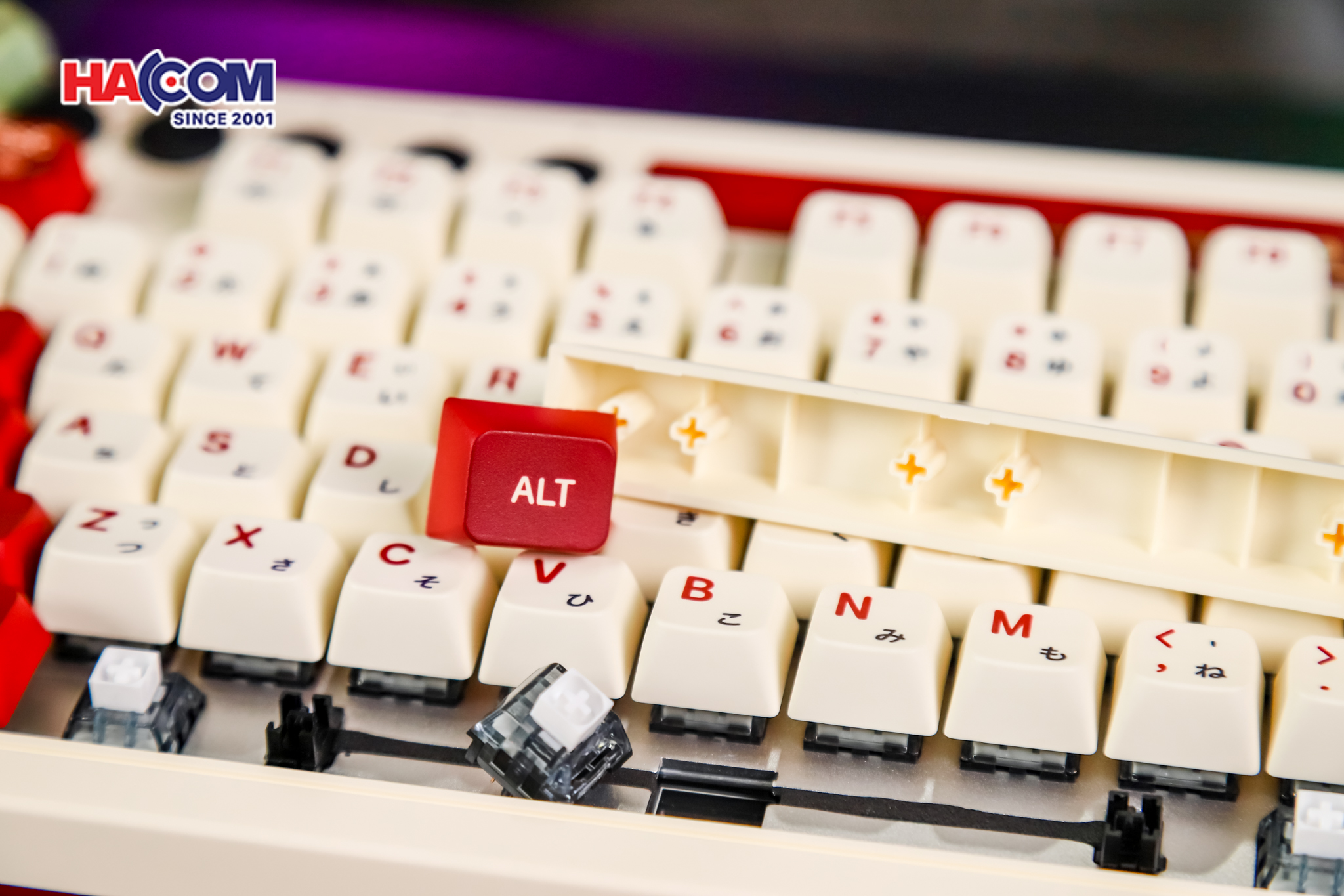 Bàn phím 8BitDo Retro 108 Mechanical Keyboard - Fami 22