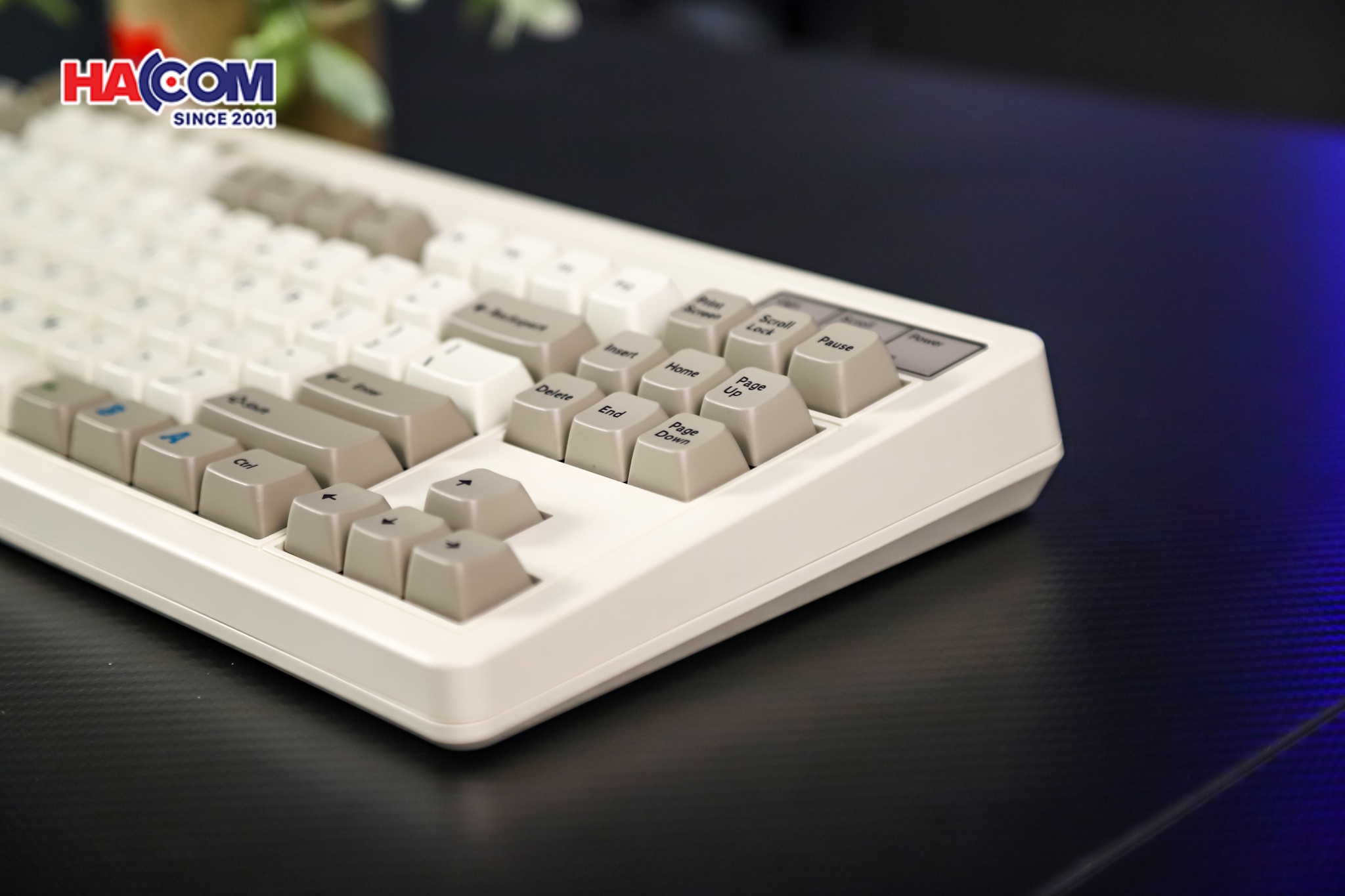 Bàn phím 8BitDo Retro Mechanical Keyboard - M Edition 16