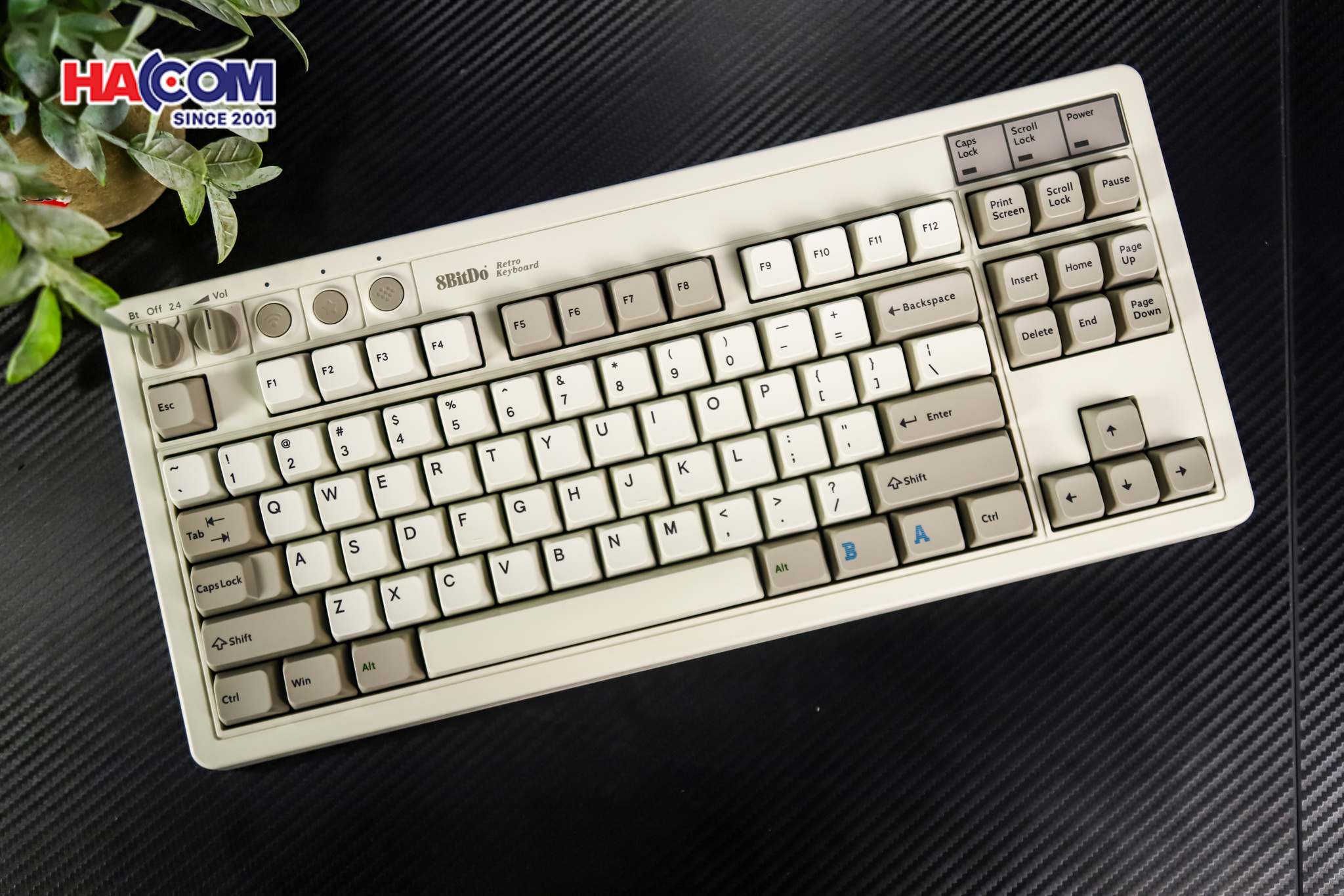 Bàn phím 8BitDo Retro Mechanical Keyboard - M Edition 8