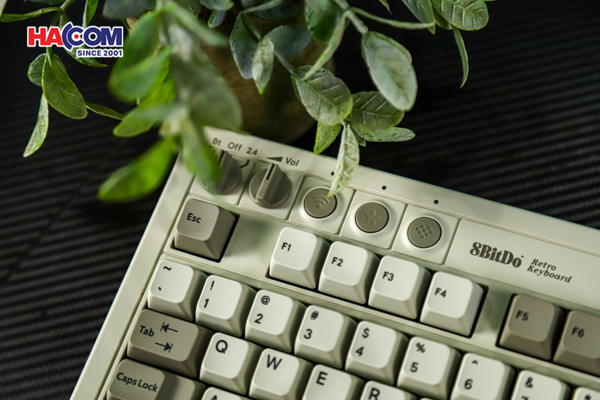 Bàn phím 8BitDo Retro Mechanical Keyboard - M Edition 9