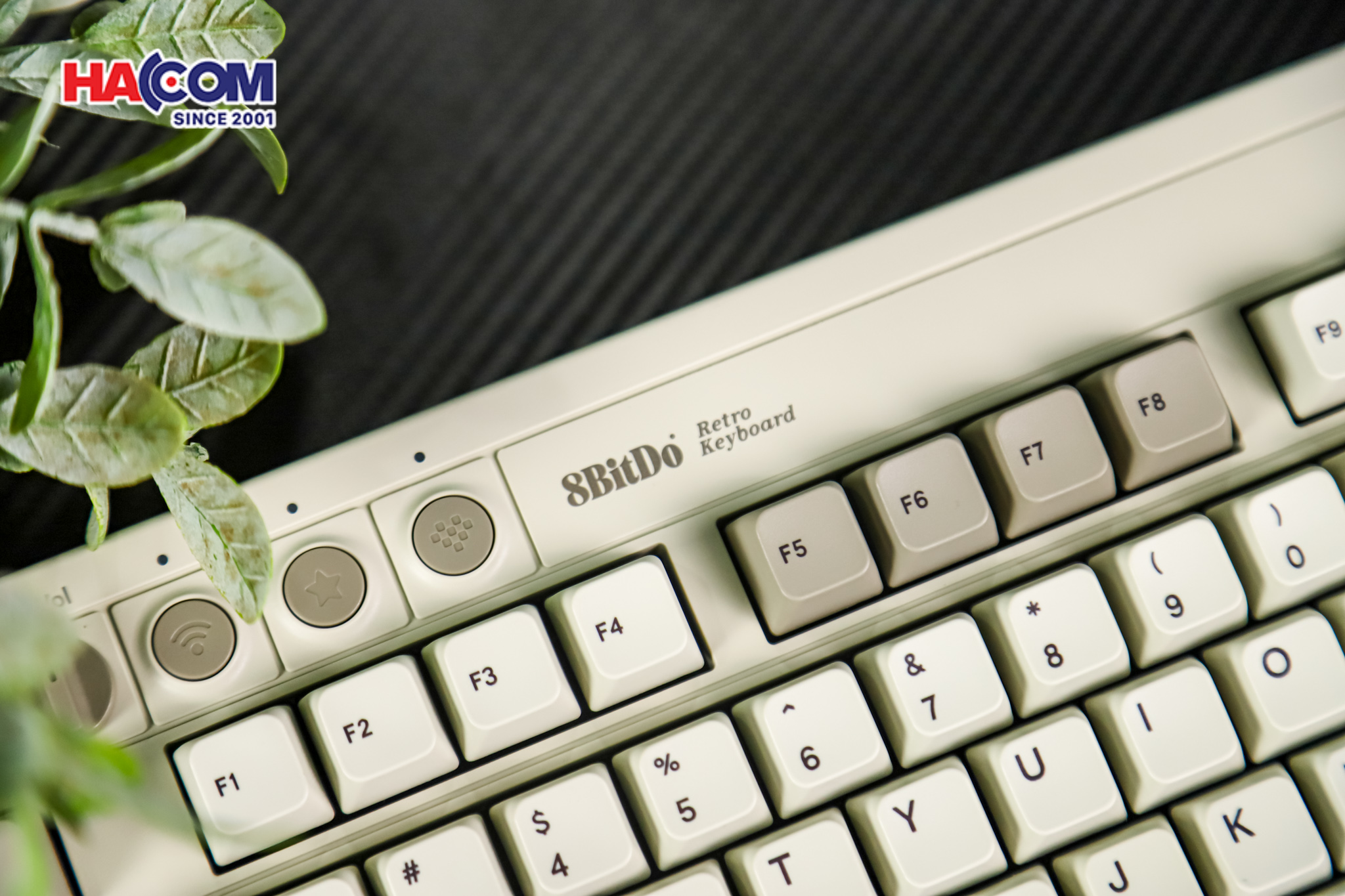 Bàn phím 8BitDo Retro Mechanical Keyboard - M Edition 10