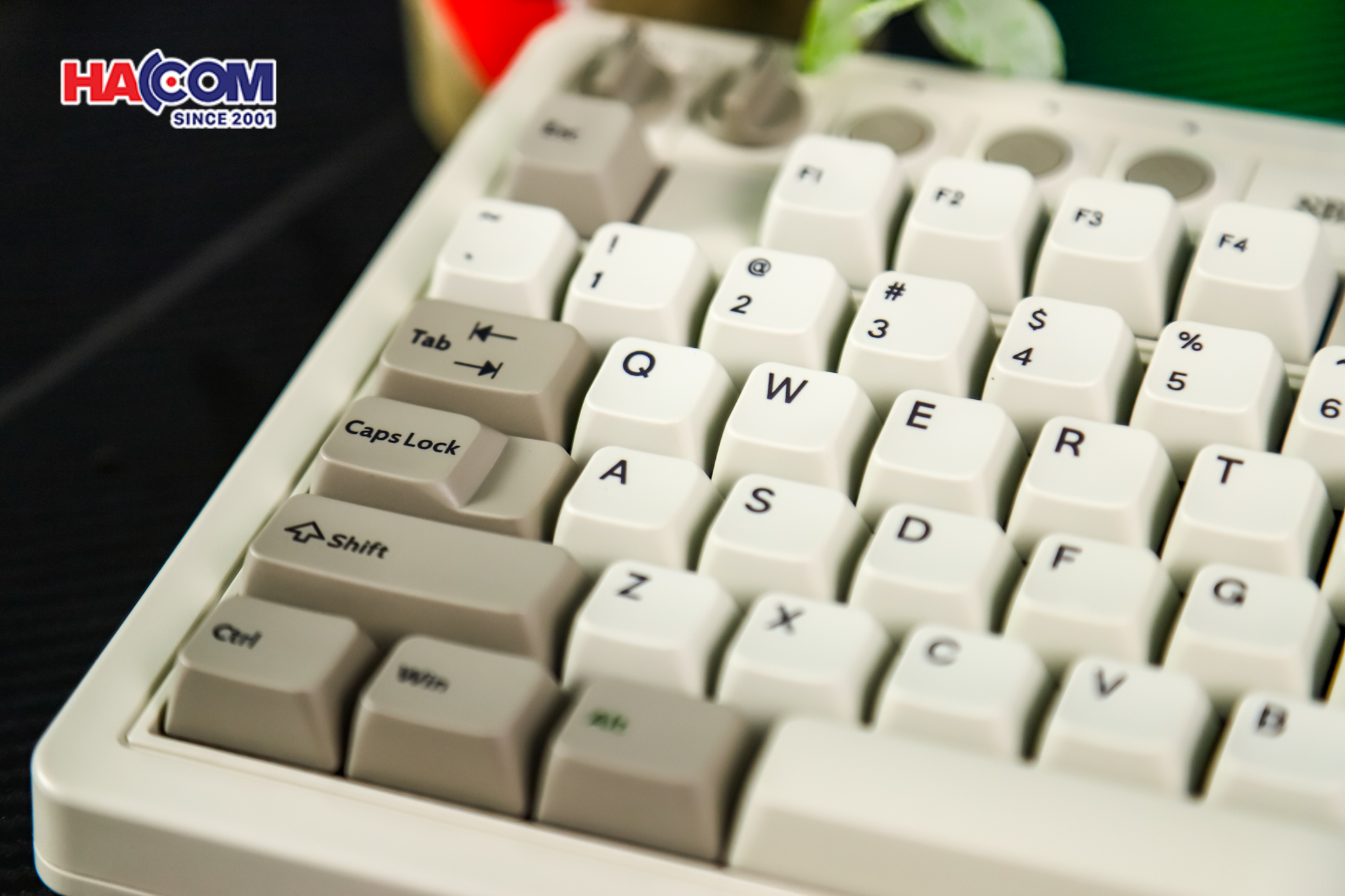 Bàn phím 8BitDo Retro Mechanical Keyboard - M Edition 12