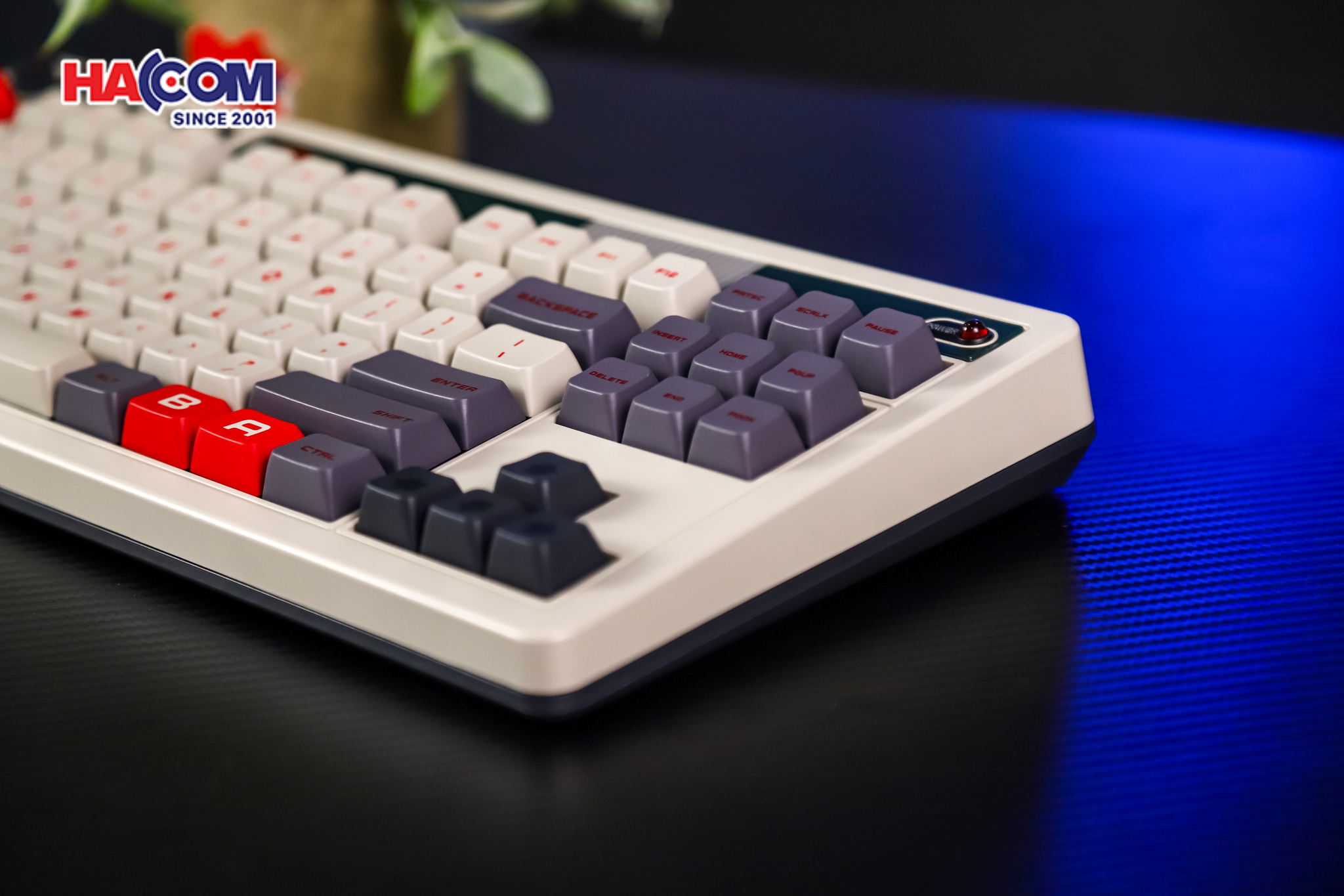Bàn phím 8BitDo Retro Mechanical Keyboard - N Edition 14