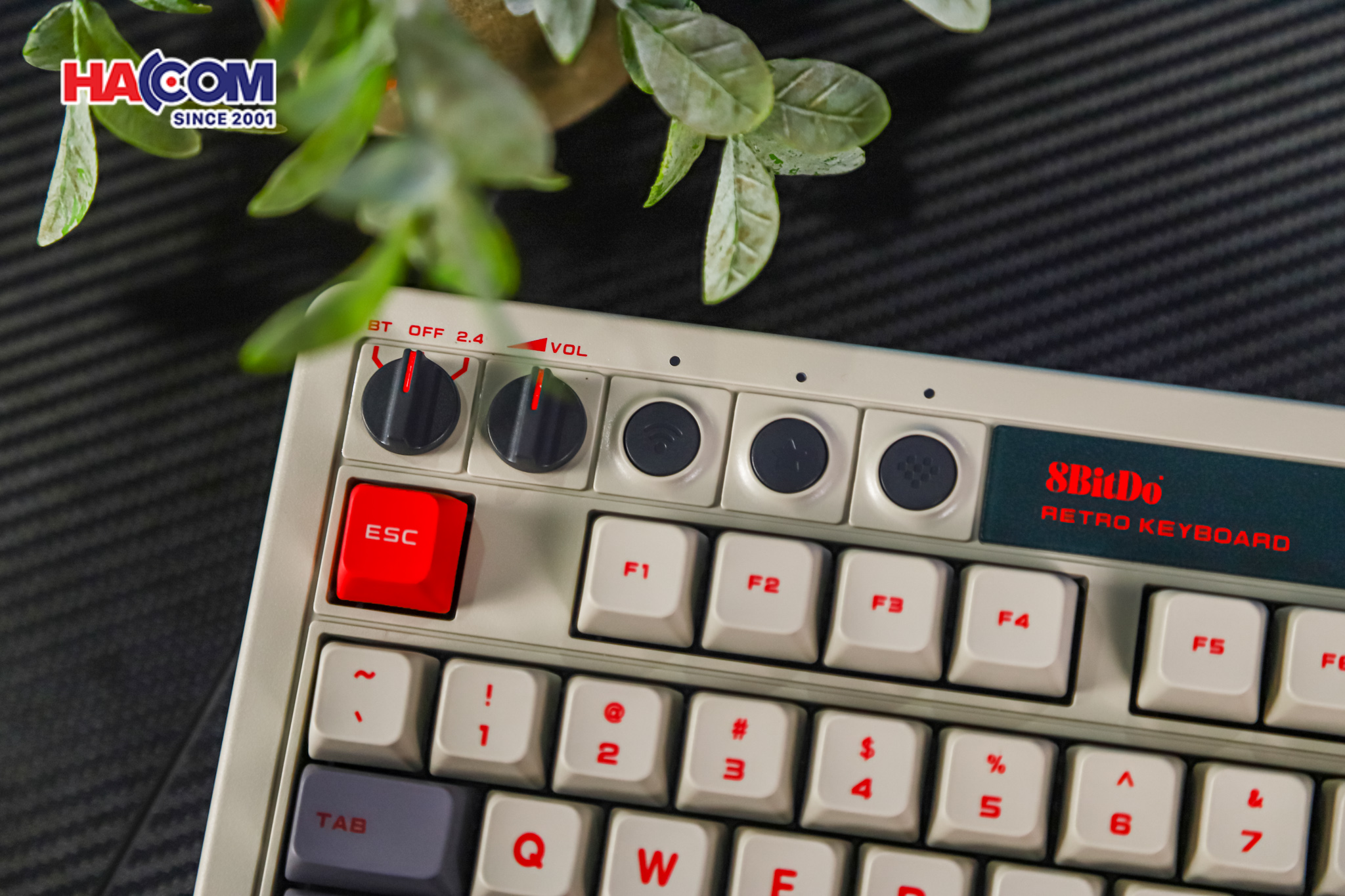 Bàn phím 8BitDo Retro Mechanical Keyboard - N Edition 9