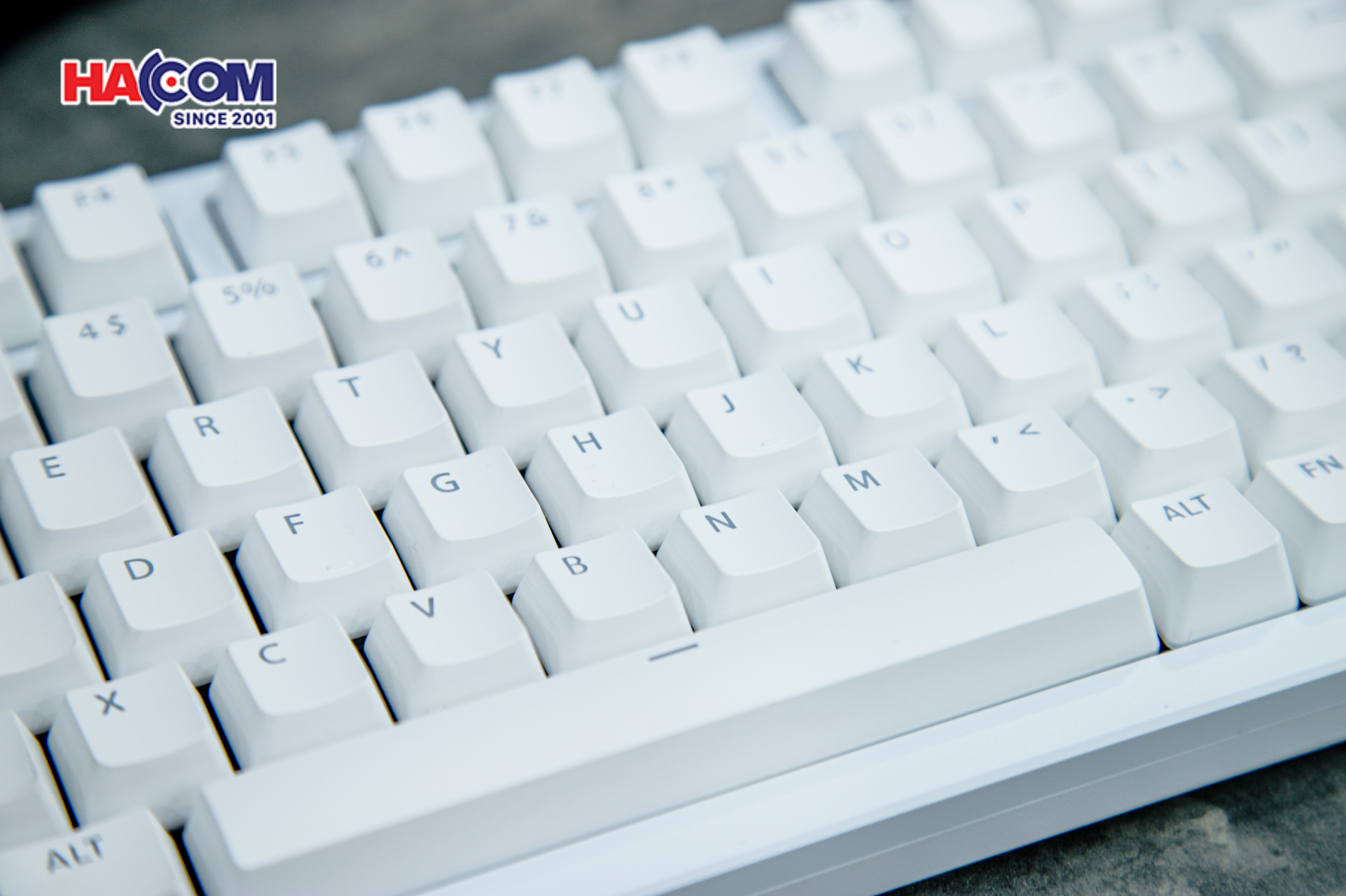 Bàn phím cơ VGN ATK75- White (USB/PBT/Magnetic Switch/Rapid-Trigger) 10