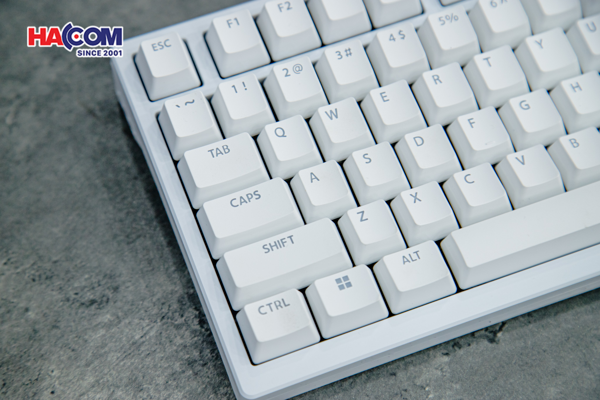 Bàn phím cơ VGN ATK75- White (USB/PBT/Magnetic Switch/Rapid-Trigger)122025/ban-phim-co-vgn-atk75-white-usb-pbt-magnetic-switch-rapid-trigger-006.jpg 6