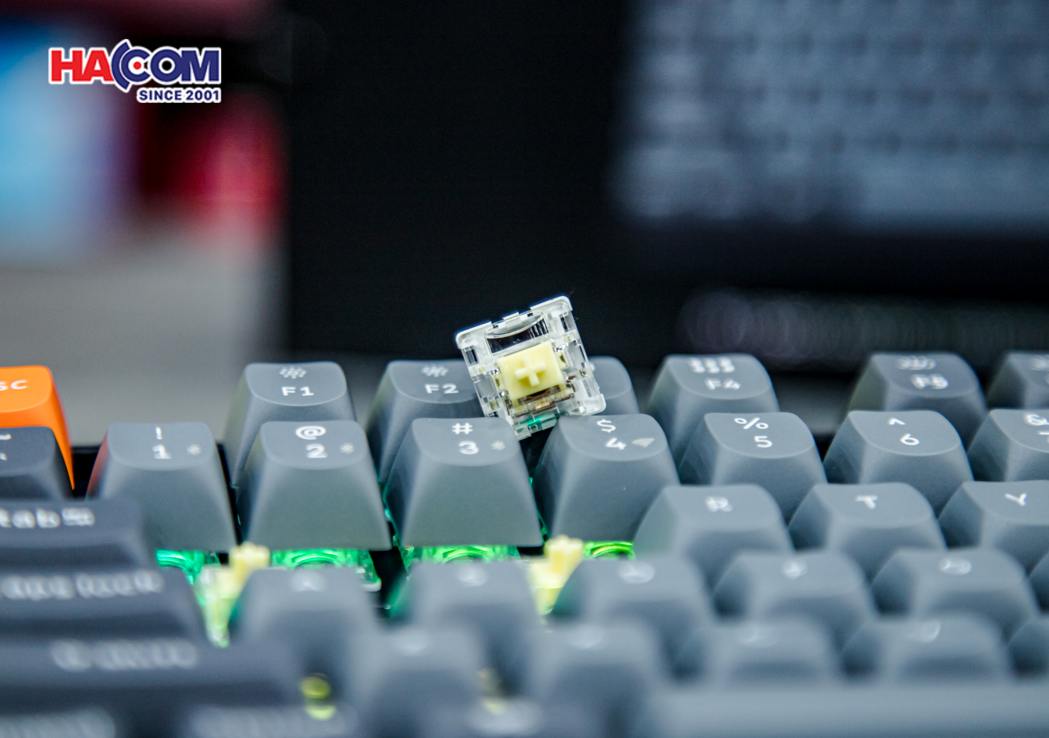 Bàn phím Keychron K8M-H4 K8 Max Swappable RGB Backlight Banana Switch - Black 12